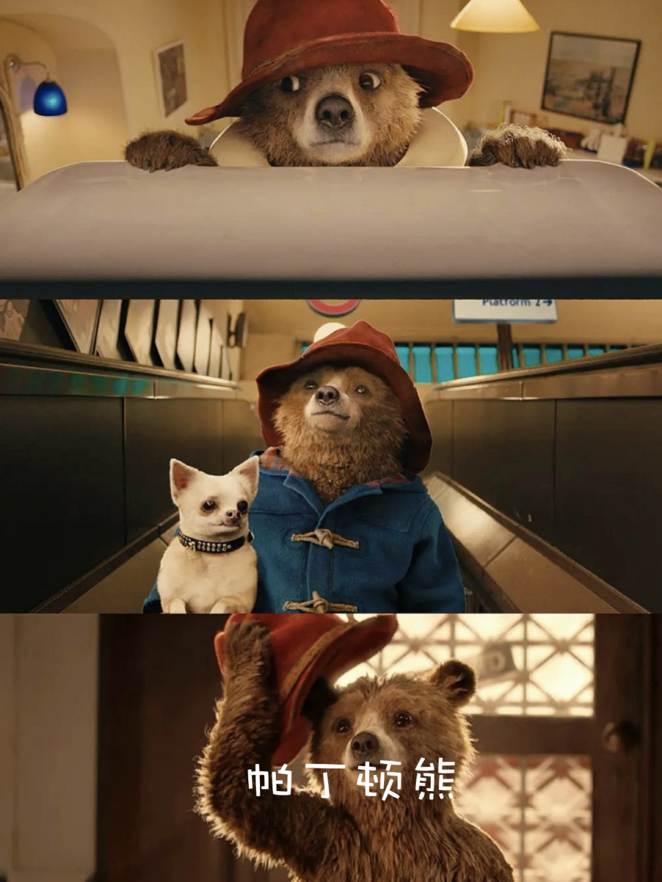 《帕丁顿熊》:冬日里的一抹温暖,治愈你的心灵!