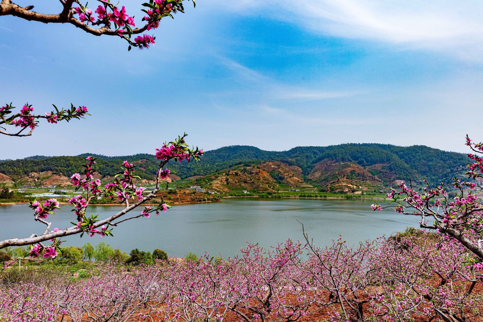 四川攀枝花最美的景区图片