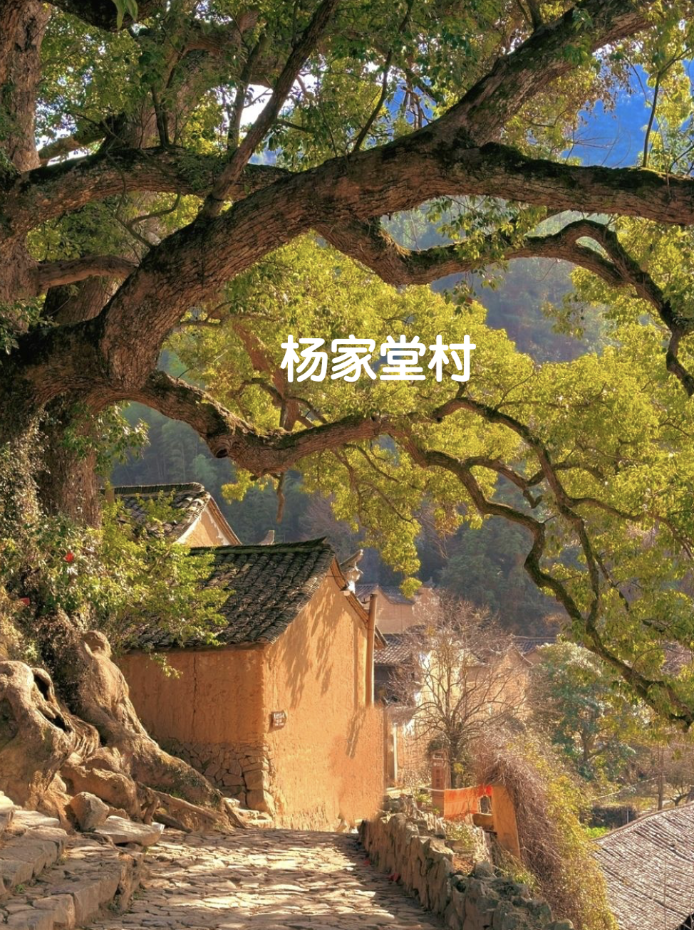 松阳三都旅游景点大全图片