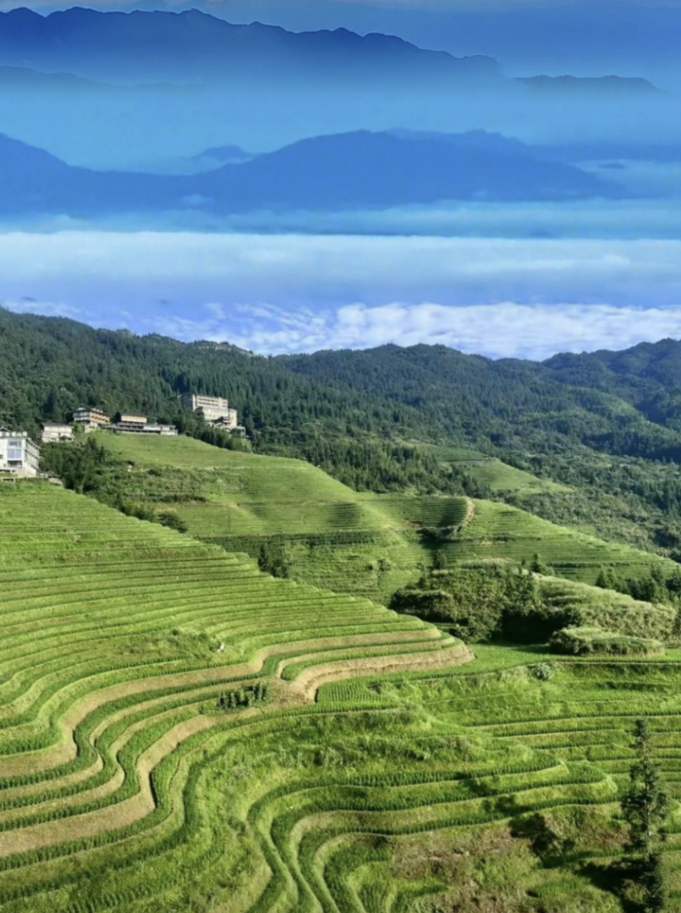 龙脊梯田图片风景图片图片