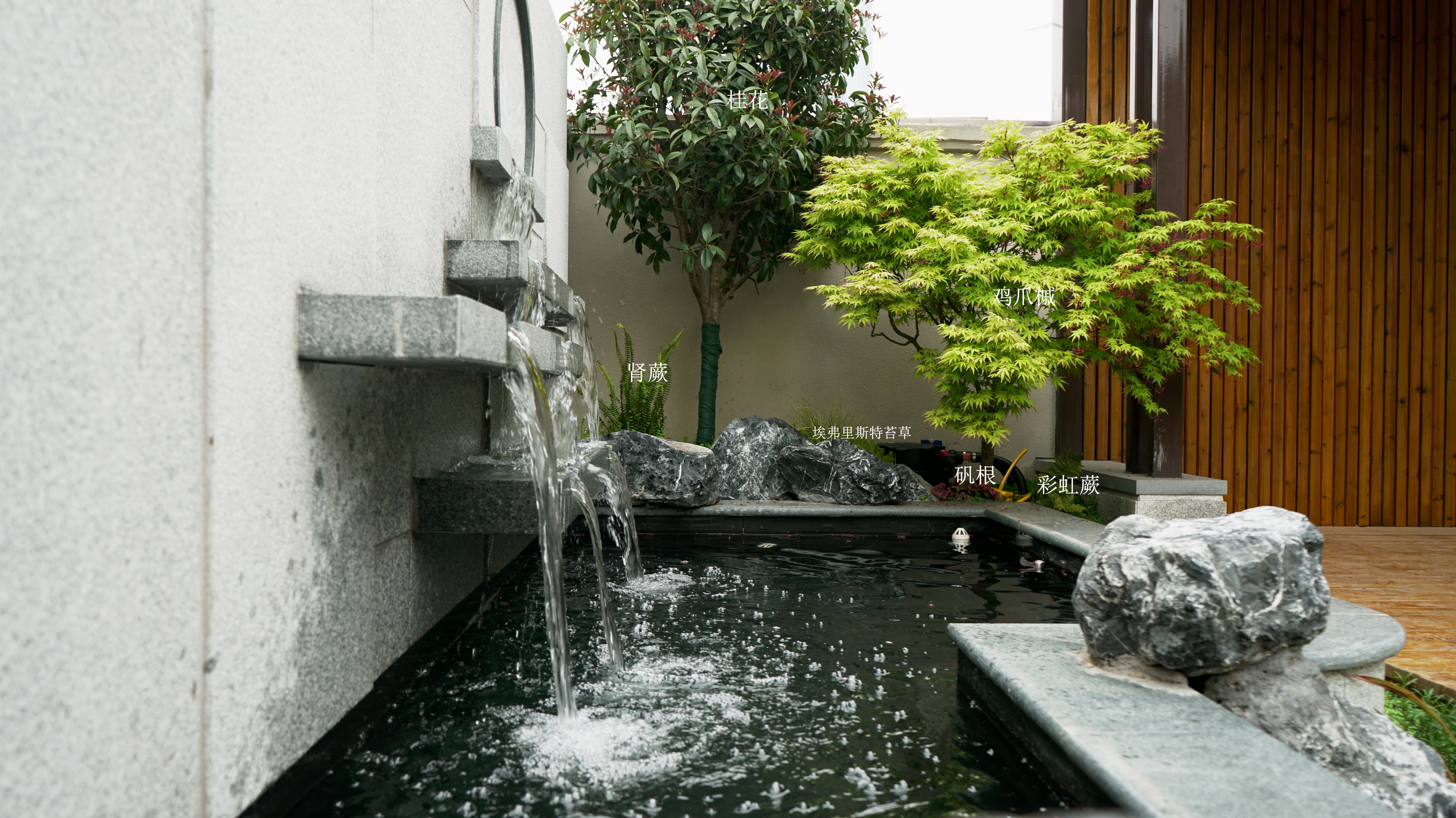 现代风小院子植物怎么设计?来个实景案例解析一波