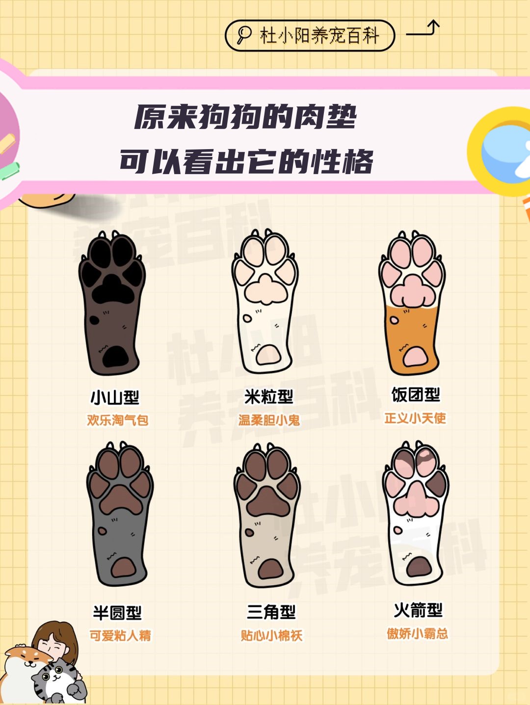 圆形肉垫:这种肉垫是最常见的,通常被认为是健康,活泼和友好的表. 