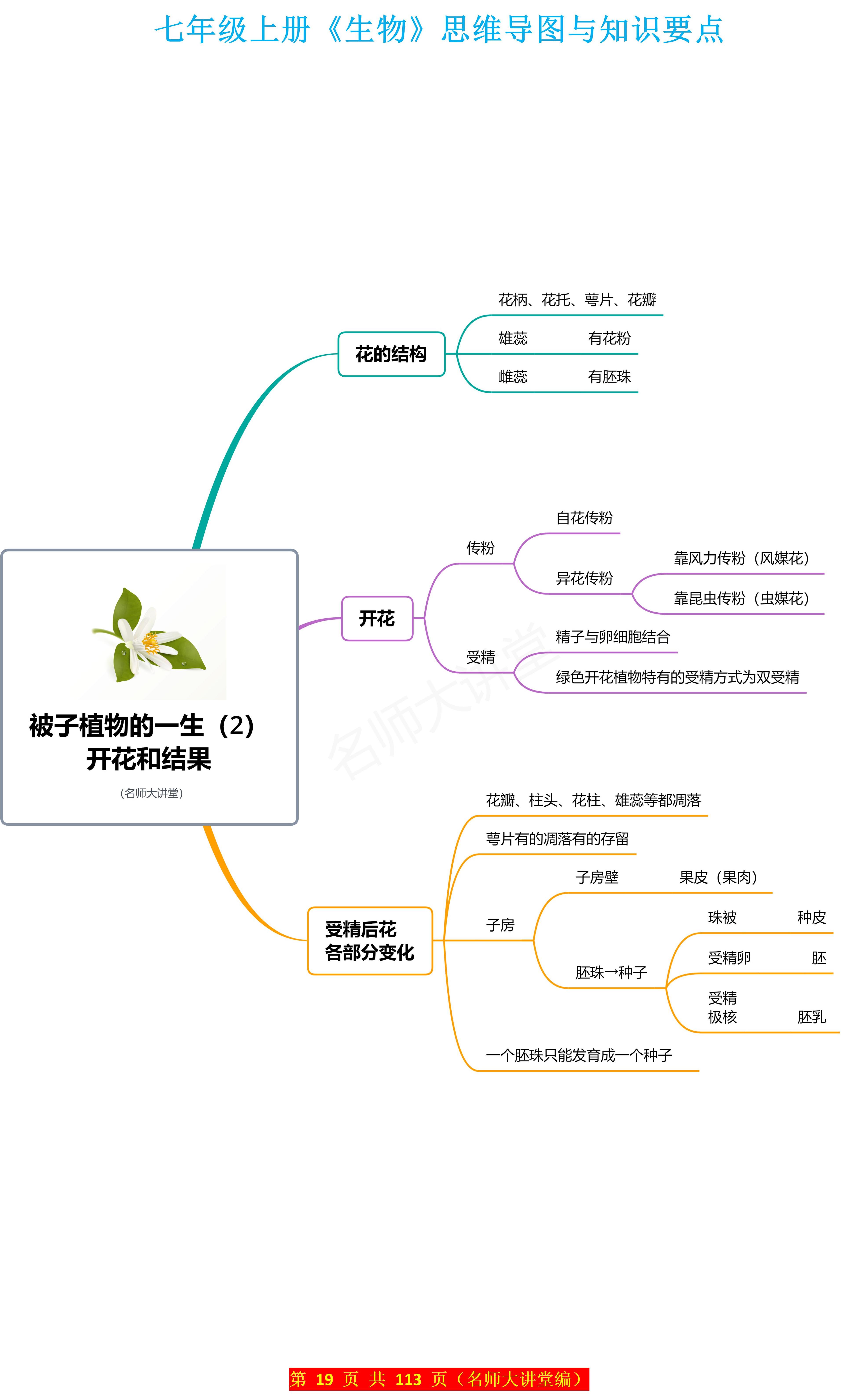 植物分类思维导图图片