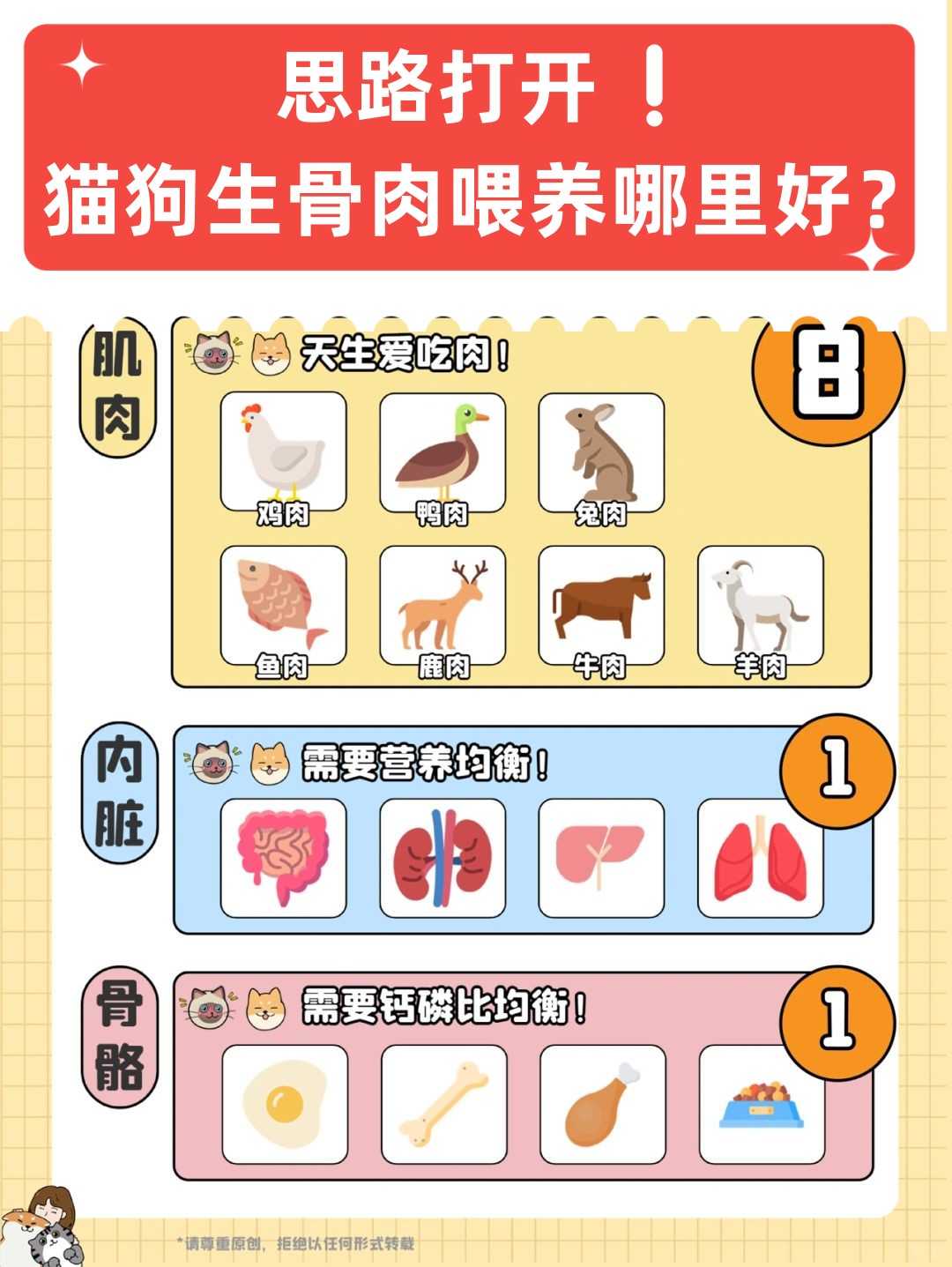 猫内脏位置分布全图图片