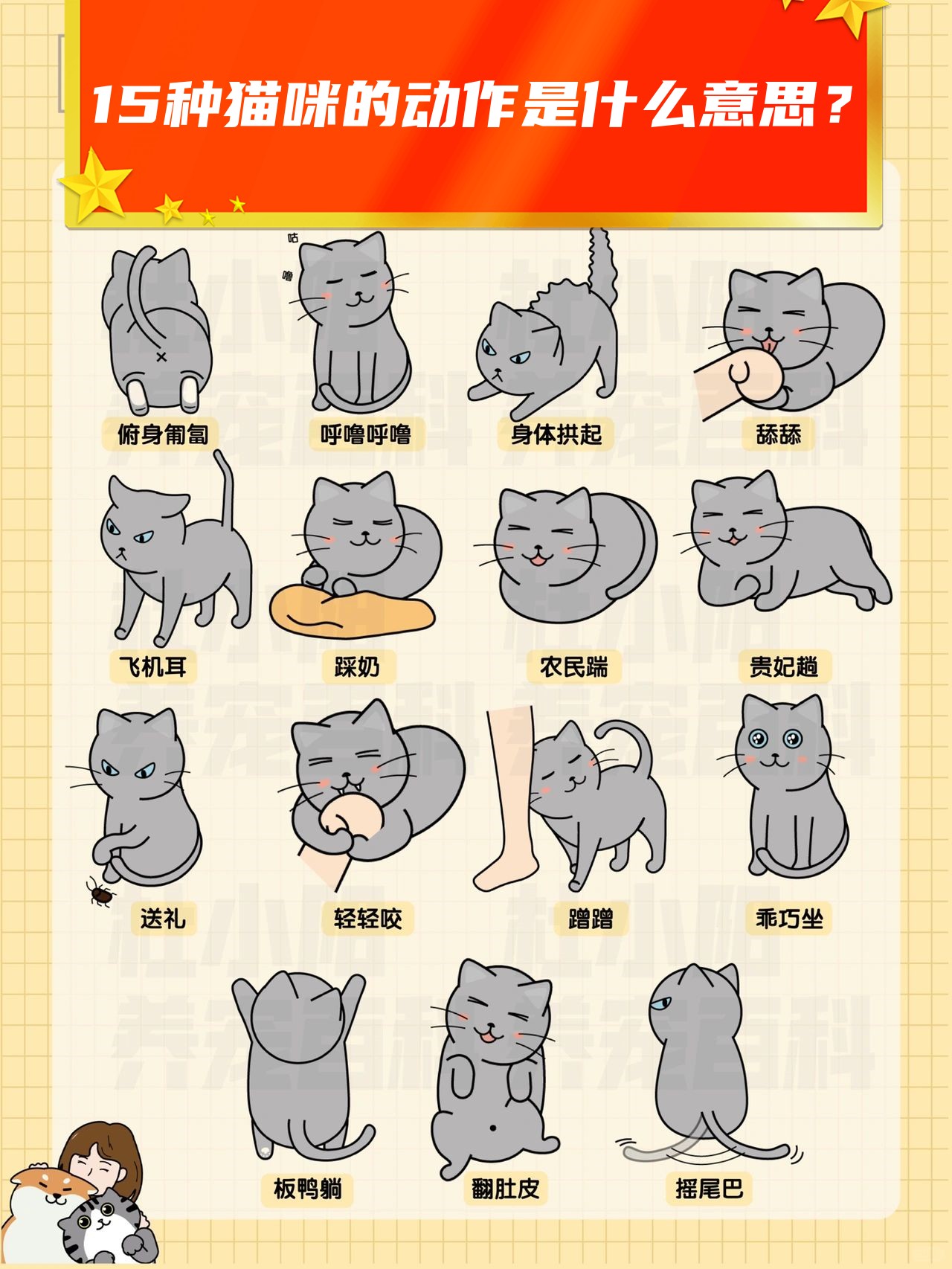 你都明白吗?	 猫咪的肢体语言,是新手铲屎官的必修课!