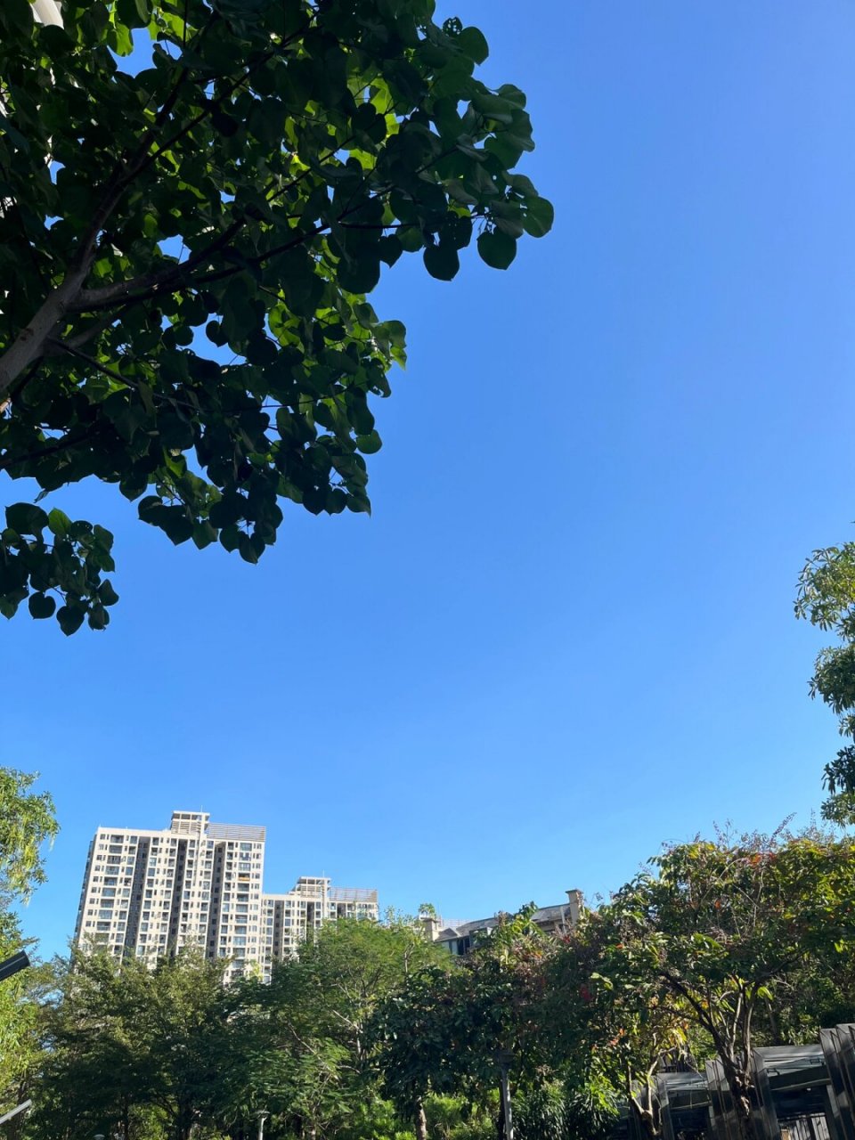 今日的三亚天气艳阳高照,风不大不小  清晨,阳光和微风交织,带来宜人