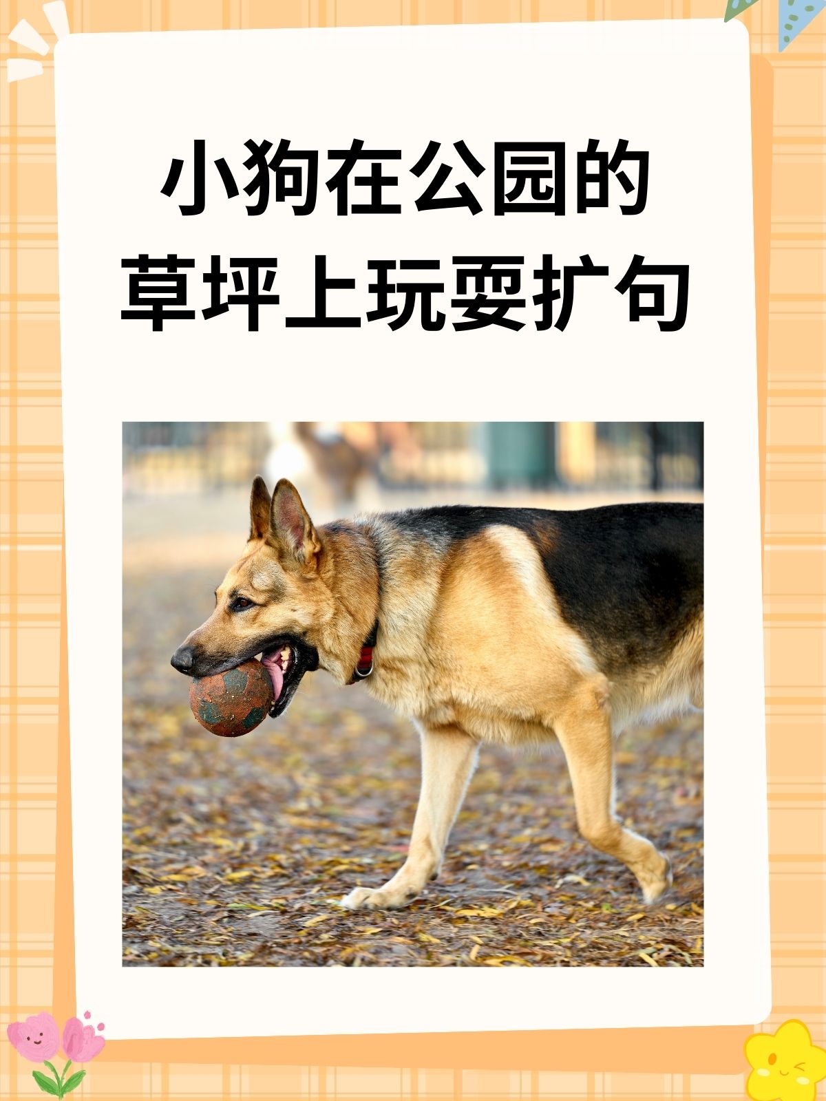 小狗在公园的草坪上玩耍扩句  我推荐小狗在公园的草坪上玩耍扩句: 1