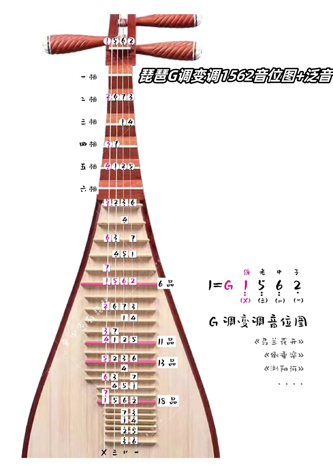 琵琶g调把位图解法琵琶g调指位谱琵琶c调音位图琵琶f调音位图琵琶bb调