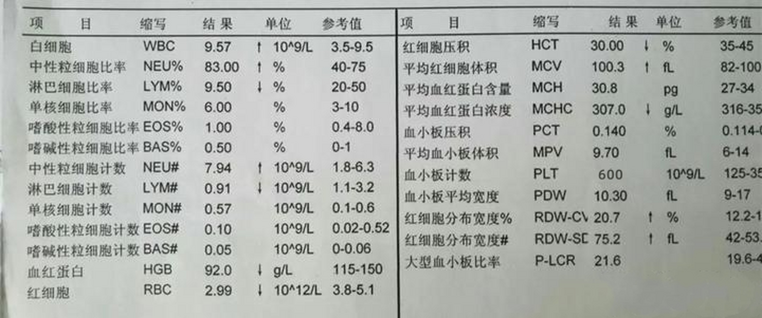 血小板手工计数图片