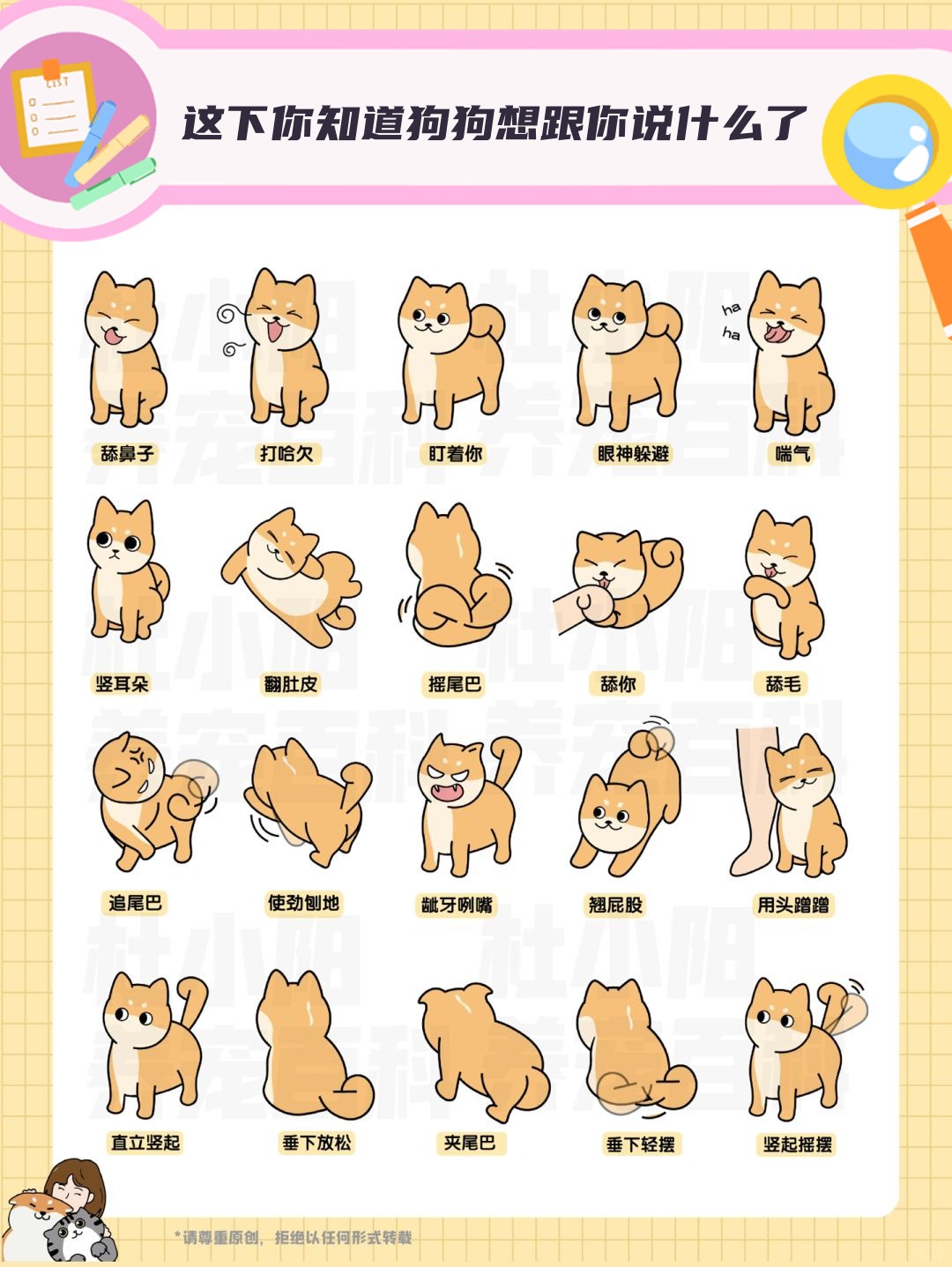 是摇尾巴,还是吐舌头?其实,狗狗的每一个动作都有其独特的含义