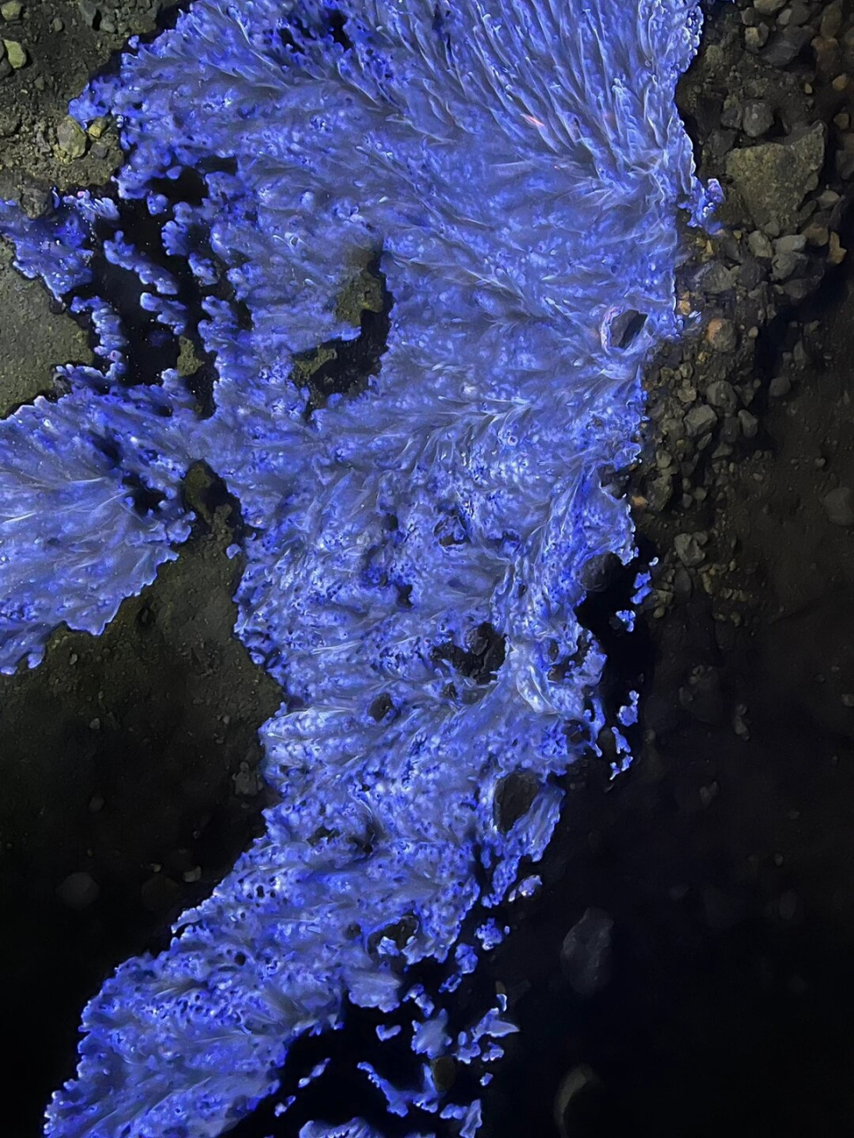 ijeno大地之歌  在漆黑的雨夜,我穿过迷雾笼罩的悬崖,等待着凌晨时分