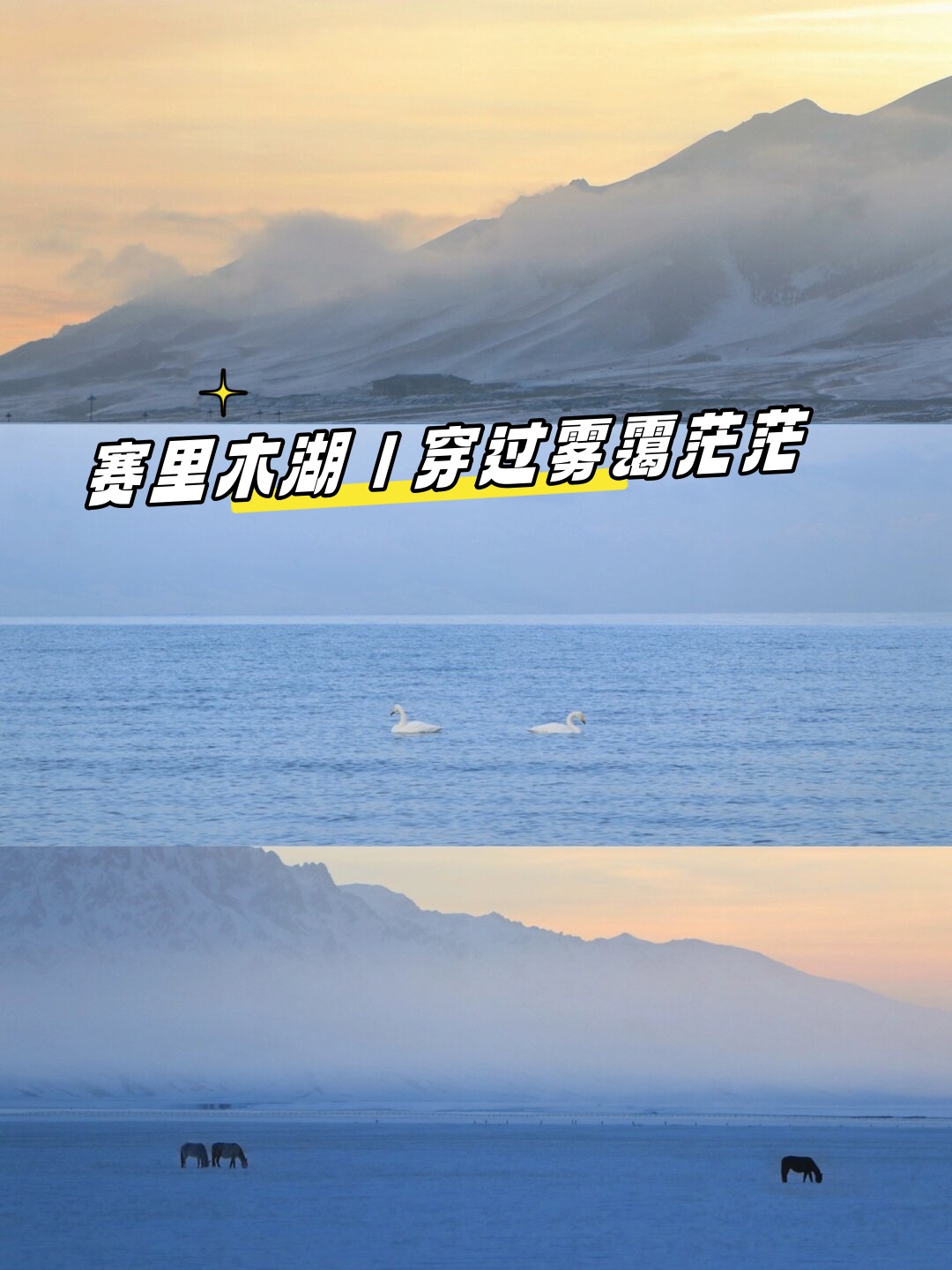在那两天的赛里木湖之旅仿佛是一场与大雾的竞速