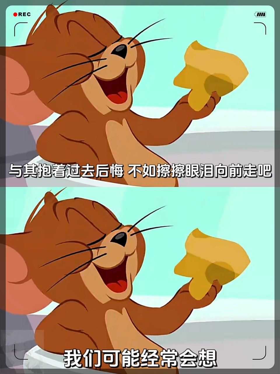 不要掩饰那些未选择的道路