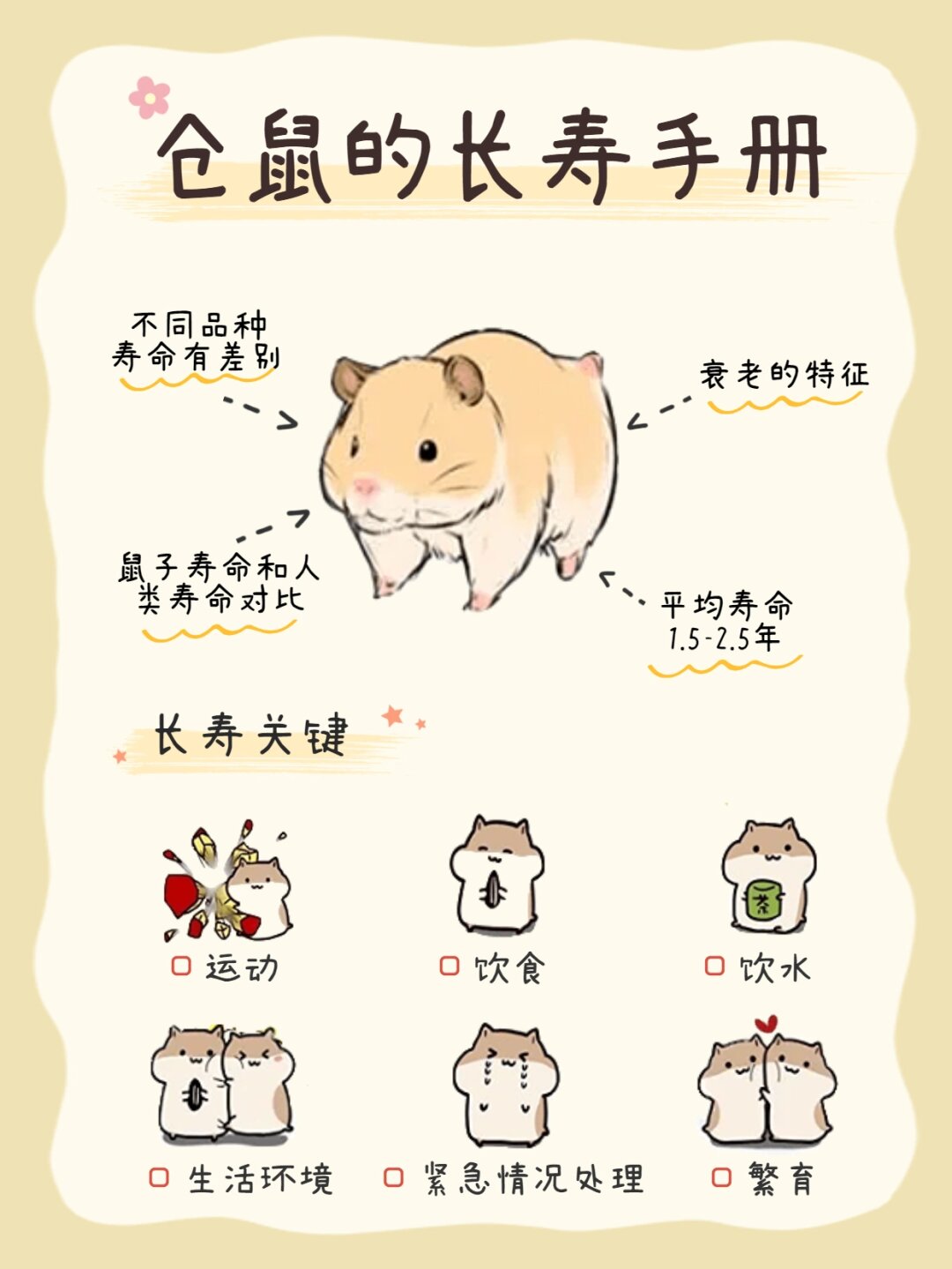 饲养仓鼠的秘诀:让你的小宠寿命更长  养鼠人都知道,仓鼠的寿命相对较