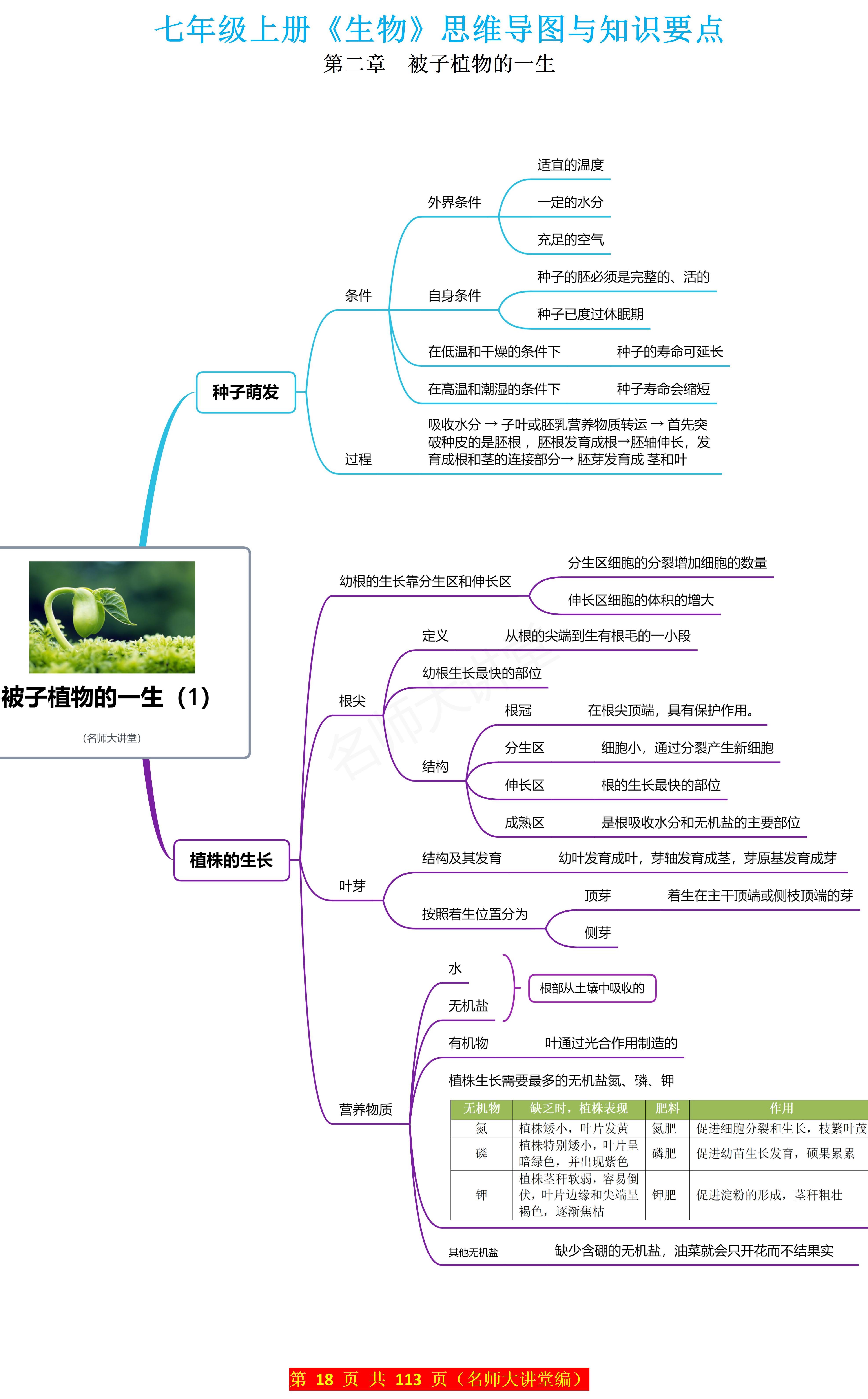 植株的生长的思维导图图片