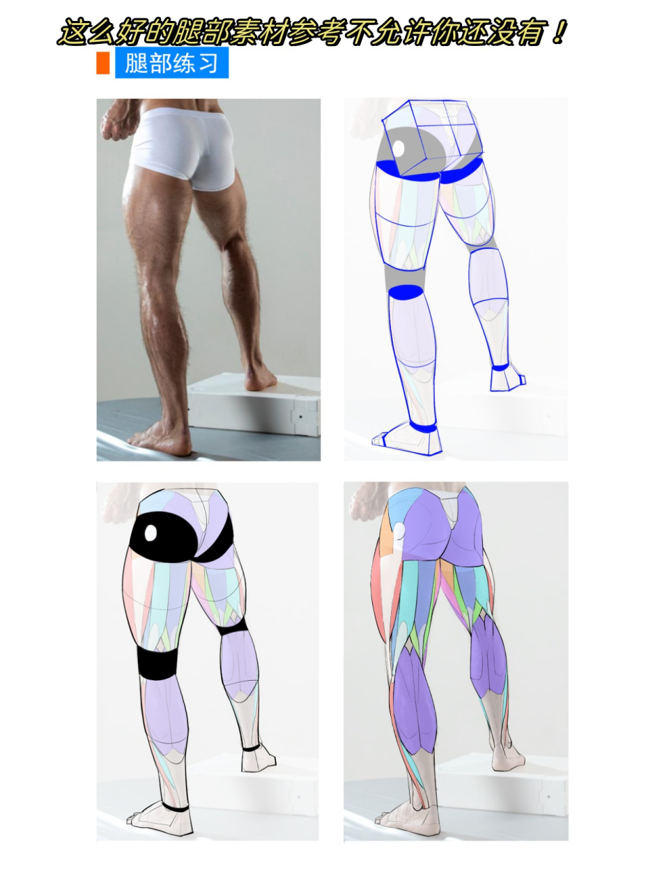 今天,我们将分享一些优秀的腿部素材参考,帮助你提升绘画技巧.