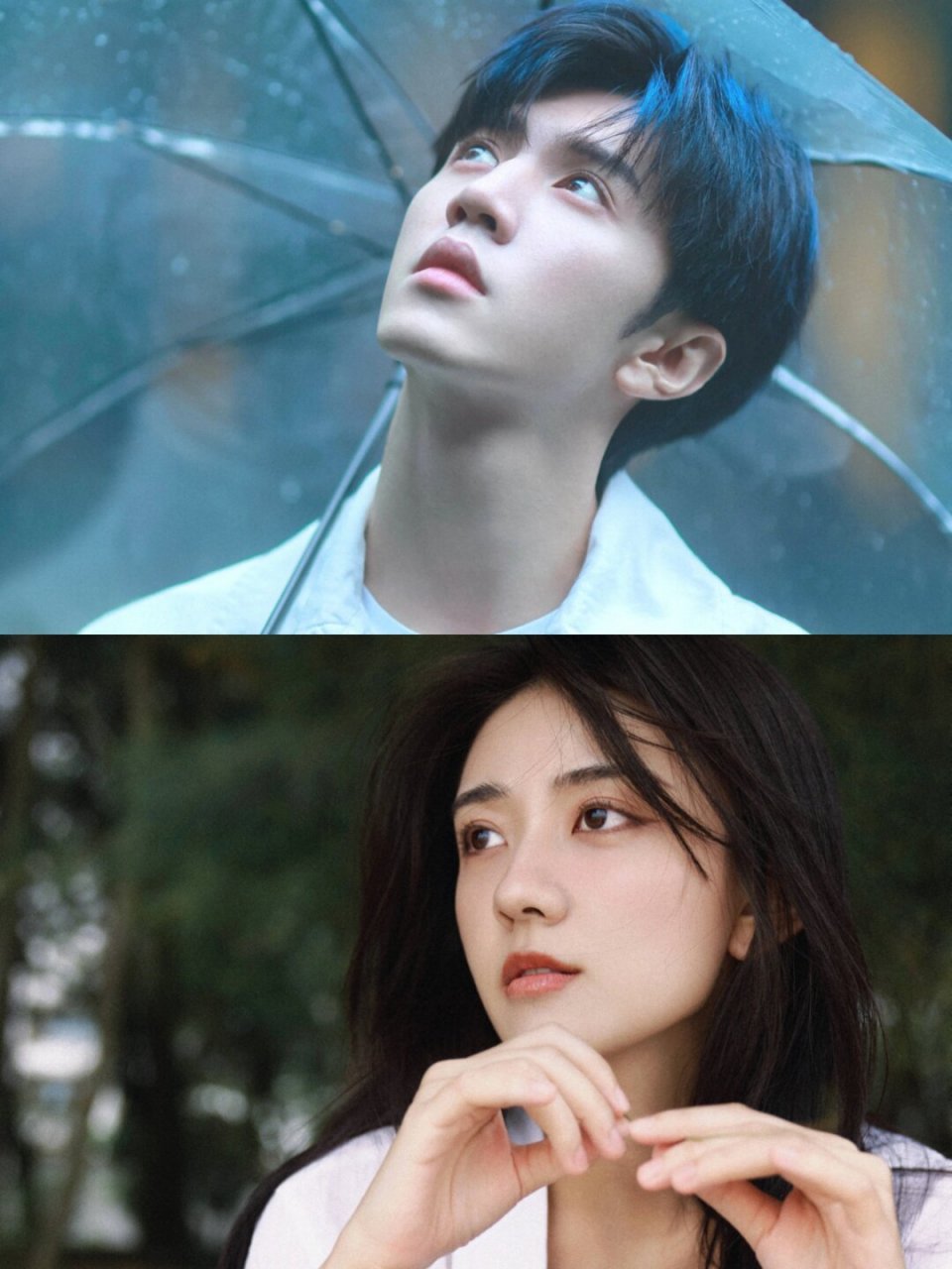 《白色橄榄树》  主演:梁洁 × 陈哲远 改编自玖月晞的同名小说  