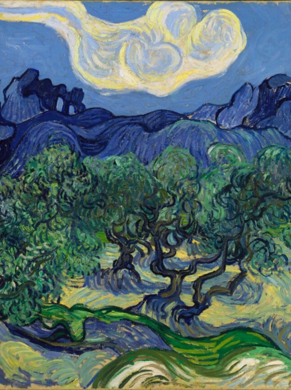 每天认识一幅世界名画-第284幅  橄榄树:梵高笔下的静谧与和平  在