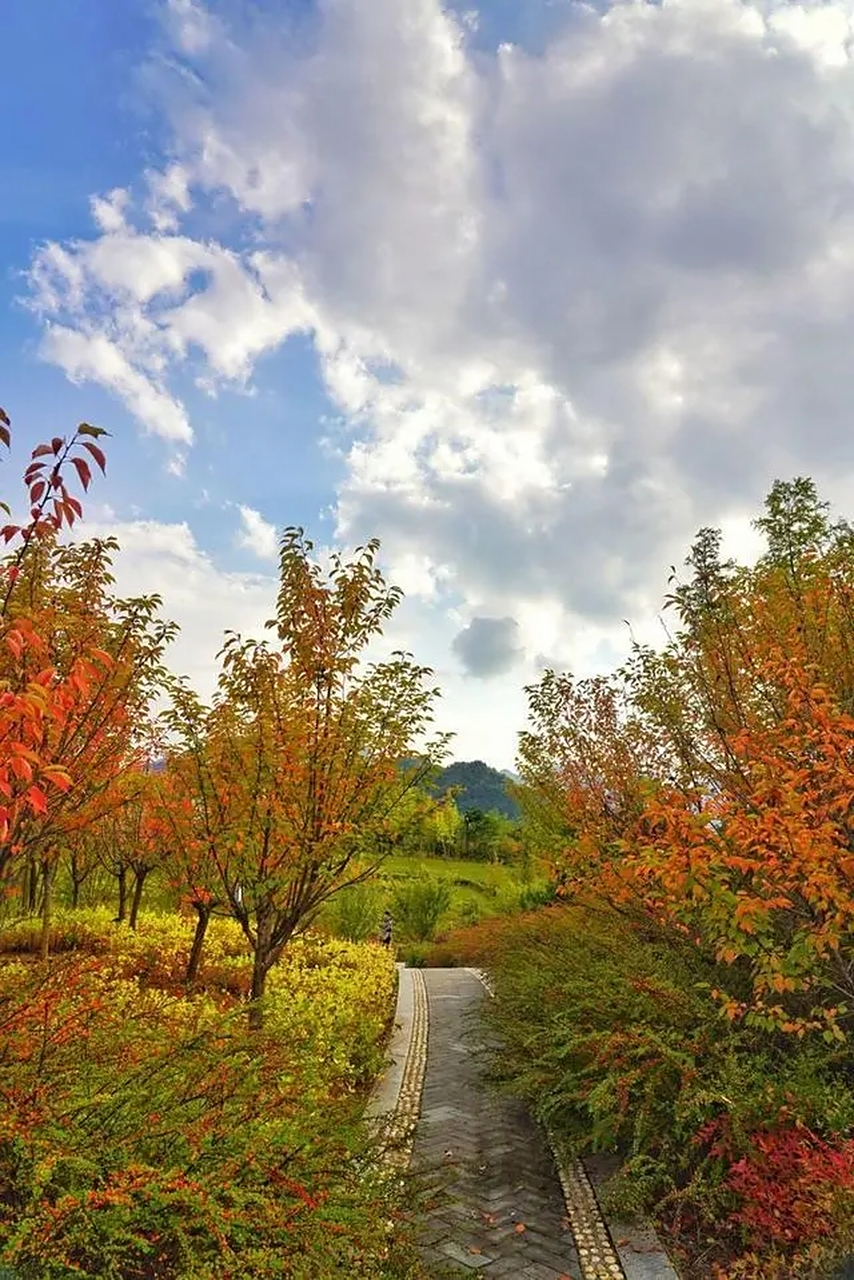 游遍河南都说中# 在河南省洛阳市栾川县石庙镇,有一个被深山环抱的小