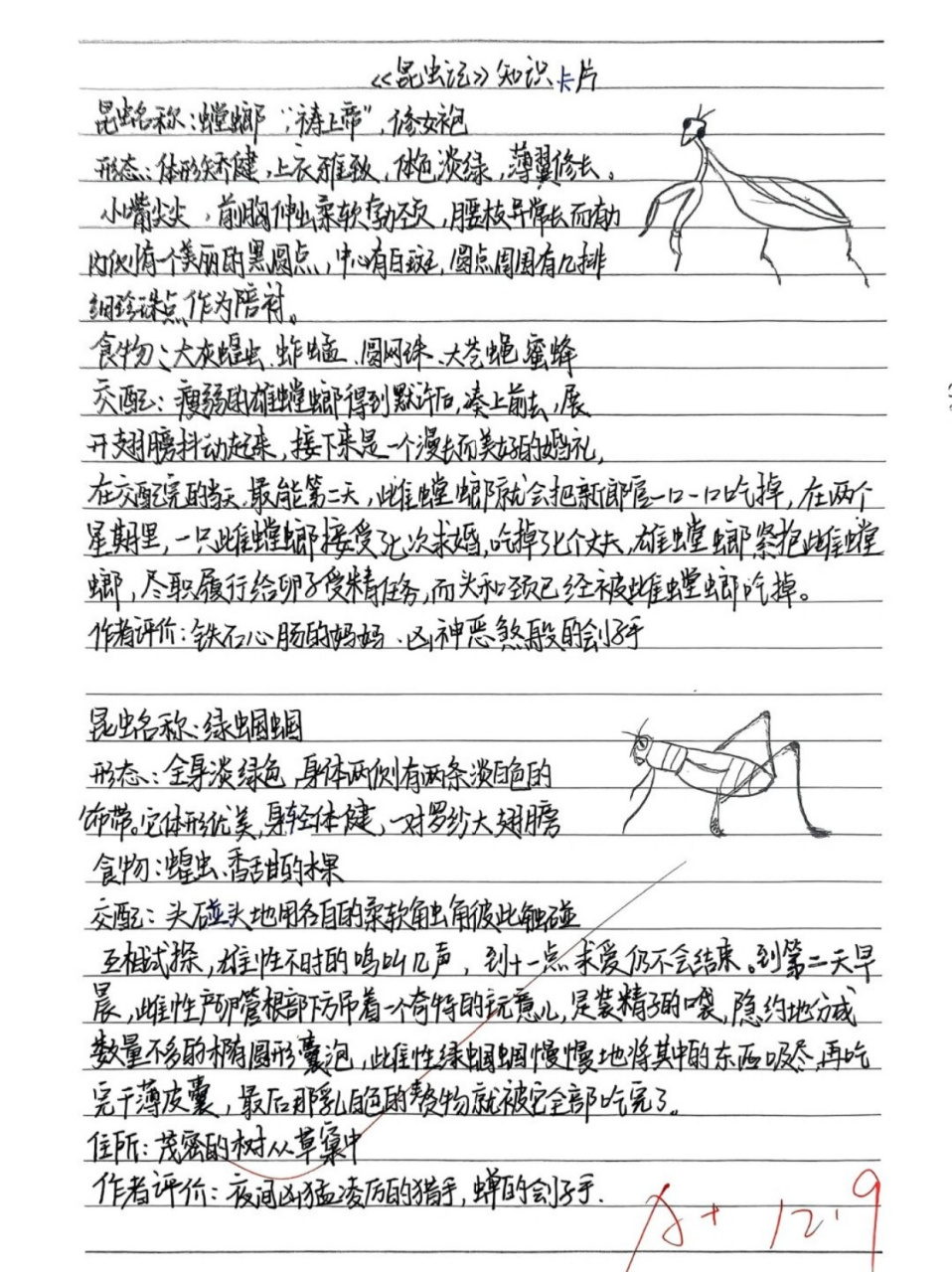 昆虫记知识卡片螳螂 绿蝈蝈  螳螂:  别称:刀螂 种类:直翅目螳螂科