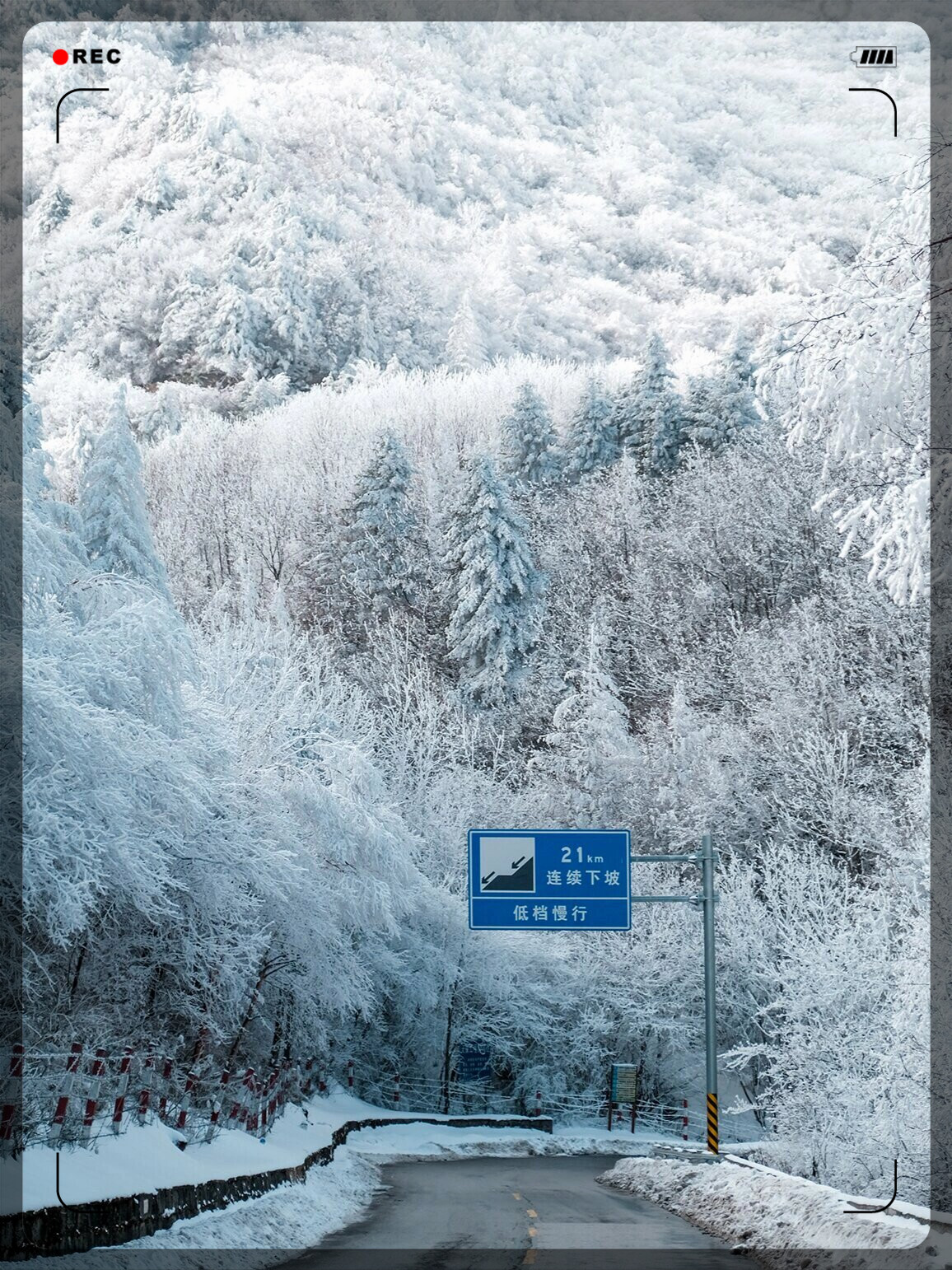 黄花岭雪景图片