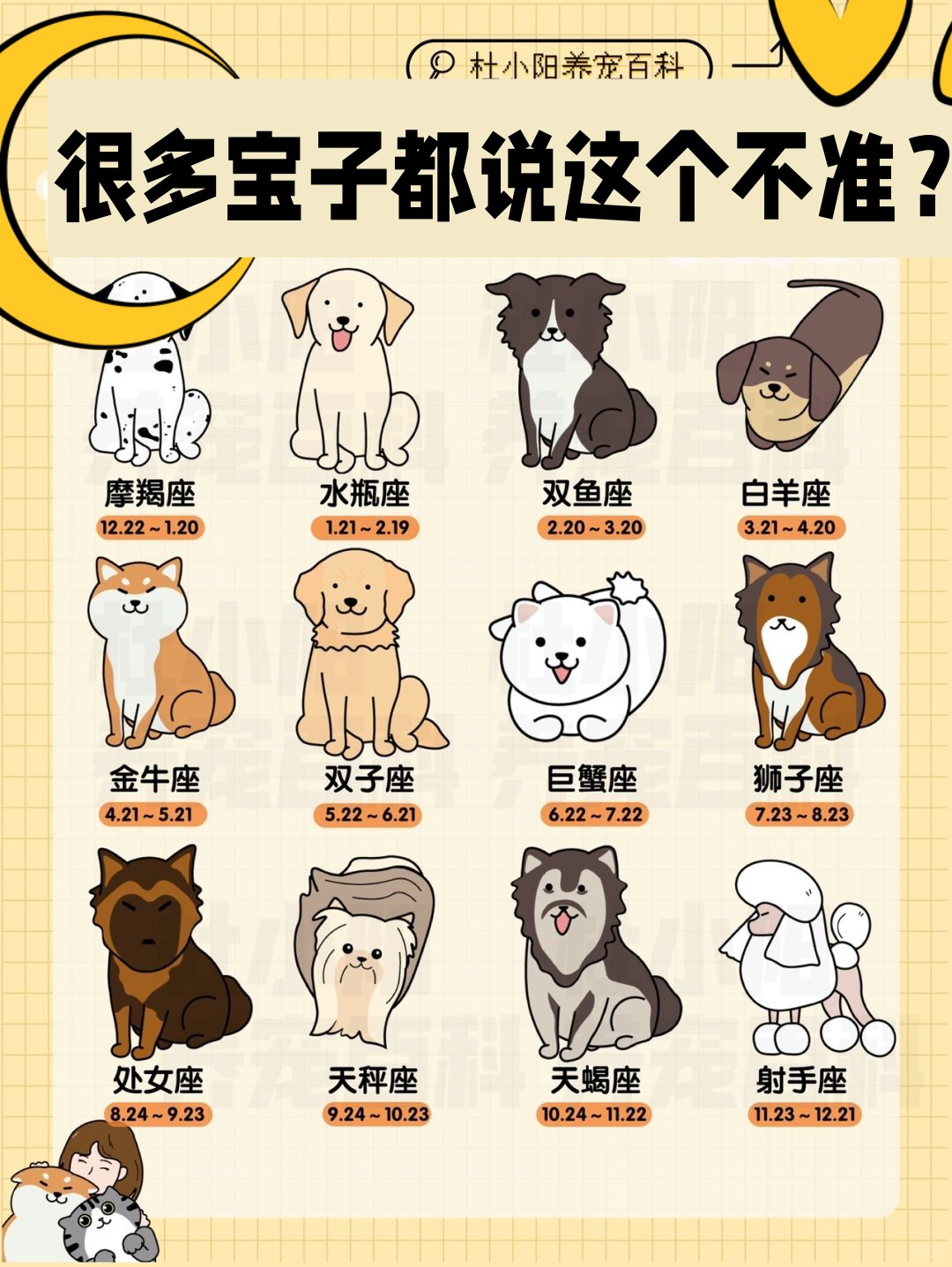 白羊座生肖狗运势如何呢(白羊座生肖狗运势如何呢女生)