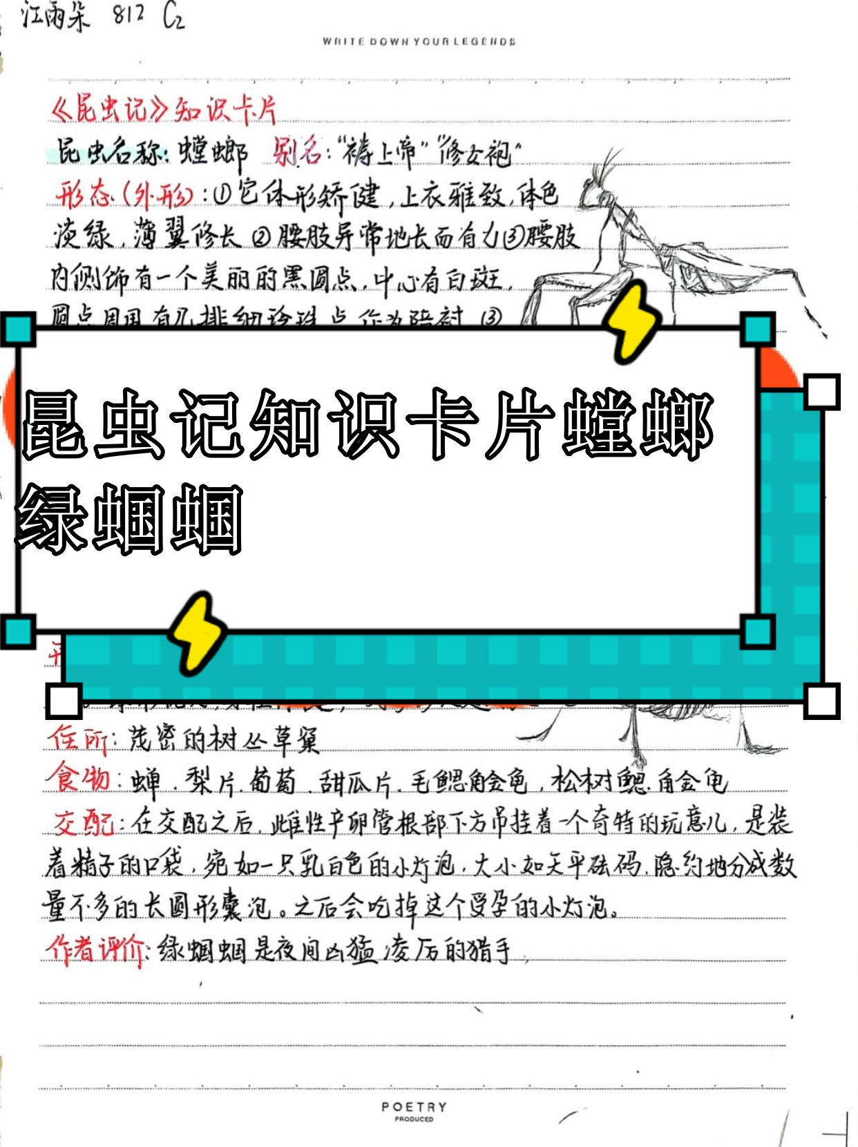 昆虫记知识卡片螳螂 绿蝈蝈 .@紫滢的社科社的动态
