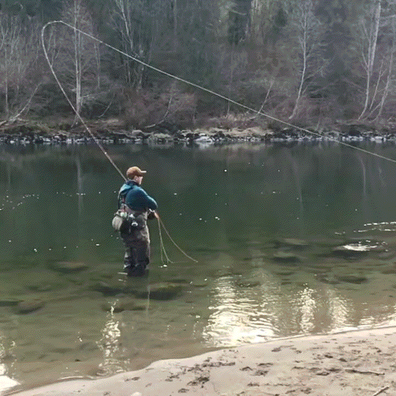 飞蝇钓抛竿出线是门技术活,一般人真还抛不远#钓鱼# #路亚匠# #飞蝇钓