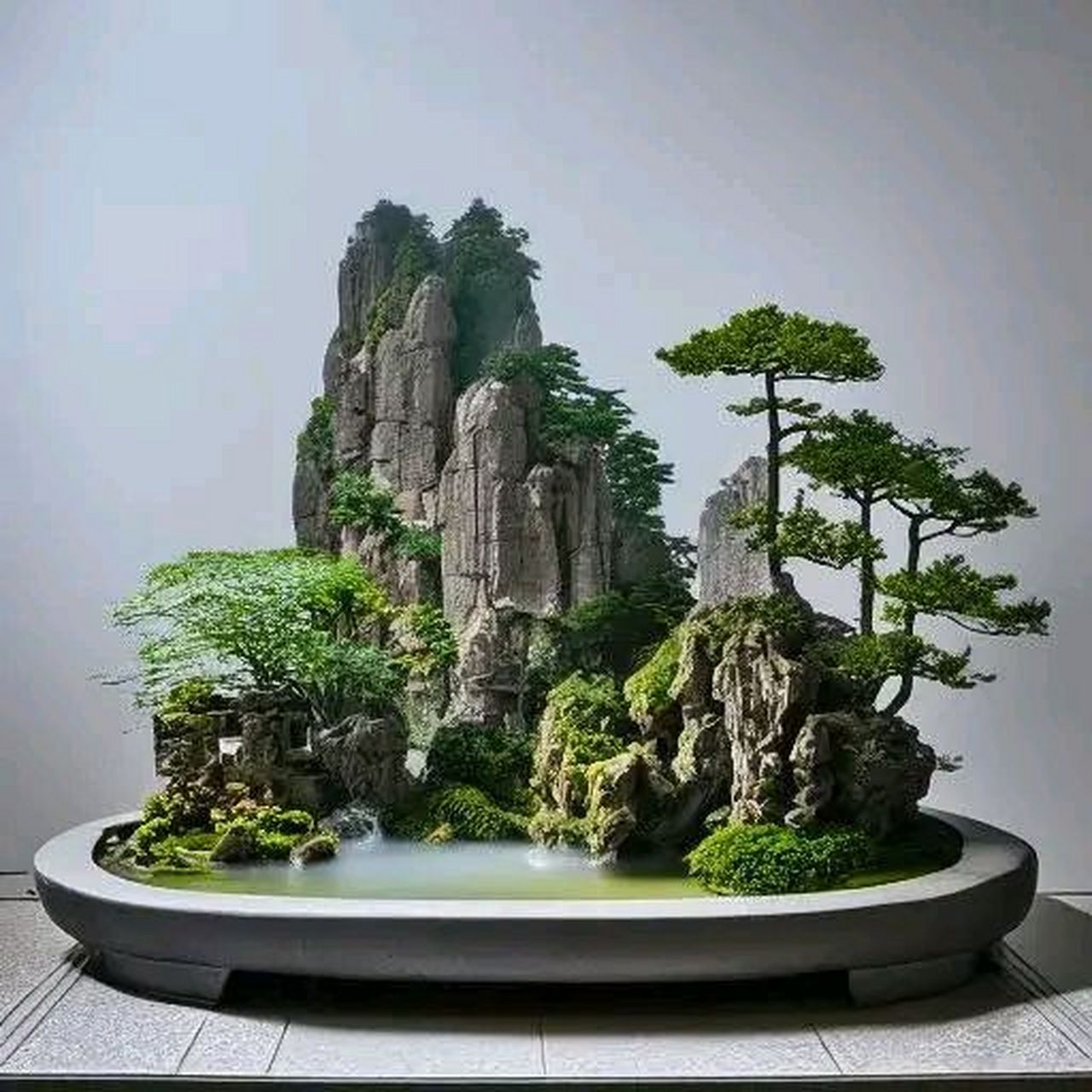 雅趣 | 山水盆景艺术