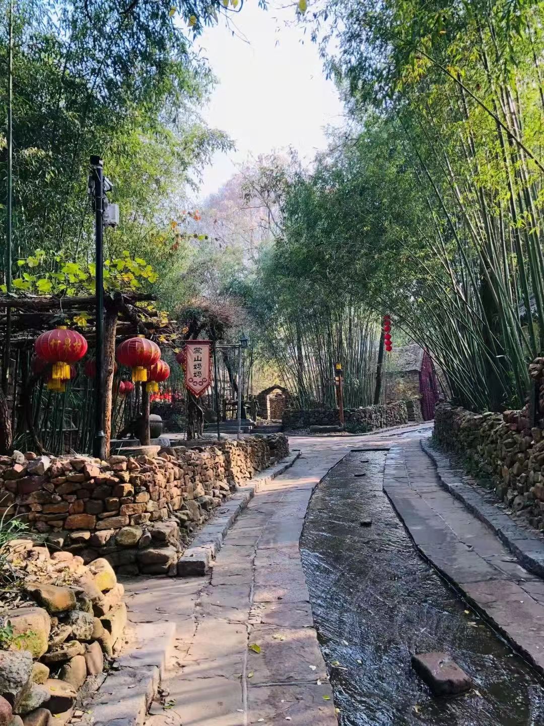到临沂竹泉村来一次美丽乡村一日游,享受竹林风光