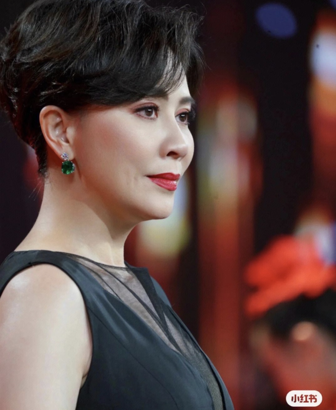 刘嘉玲认康康为干儿子:爱与责任的交织,财富与人脉的传承