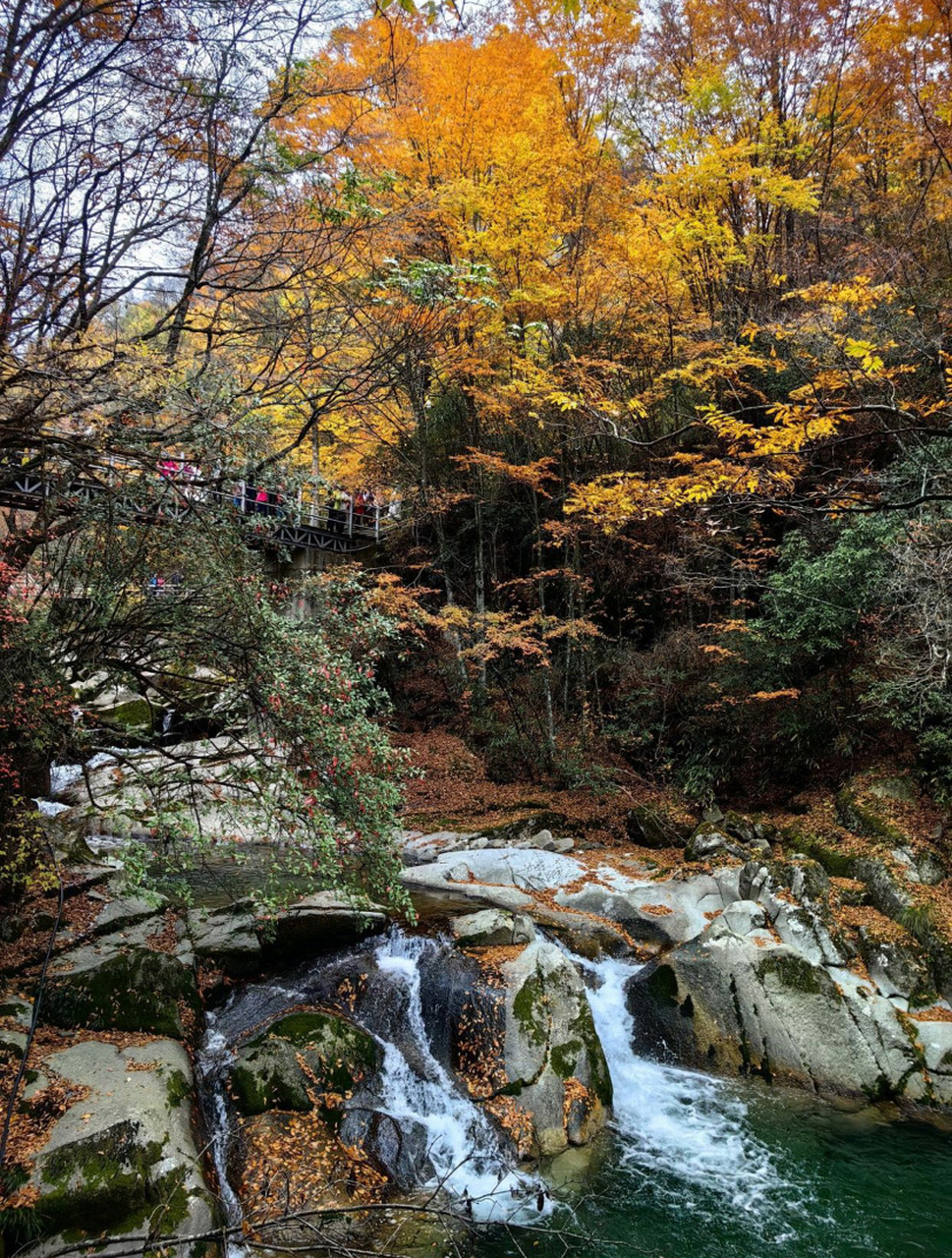 米仓山国家森林公园,位于中国四川省巴中市,是一个集自然风光,人文