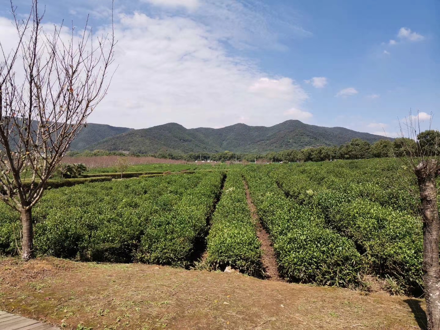 江苏宜兴阳羡油车水库