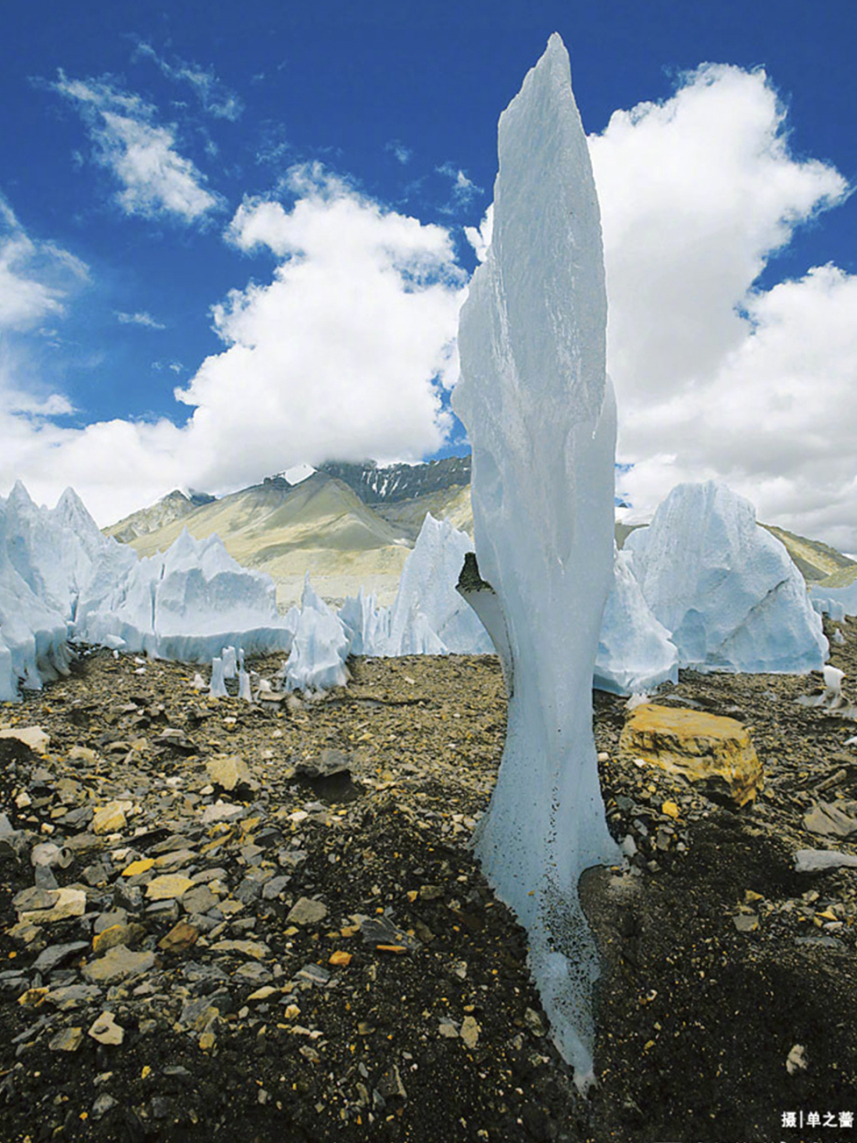 冰塔林是一种极为罕见的景观,只有中低纬度的大陆性冰川才有;在冰温较