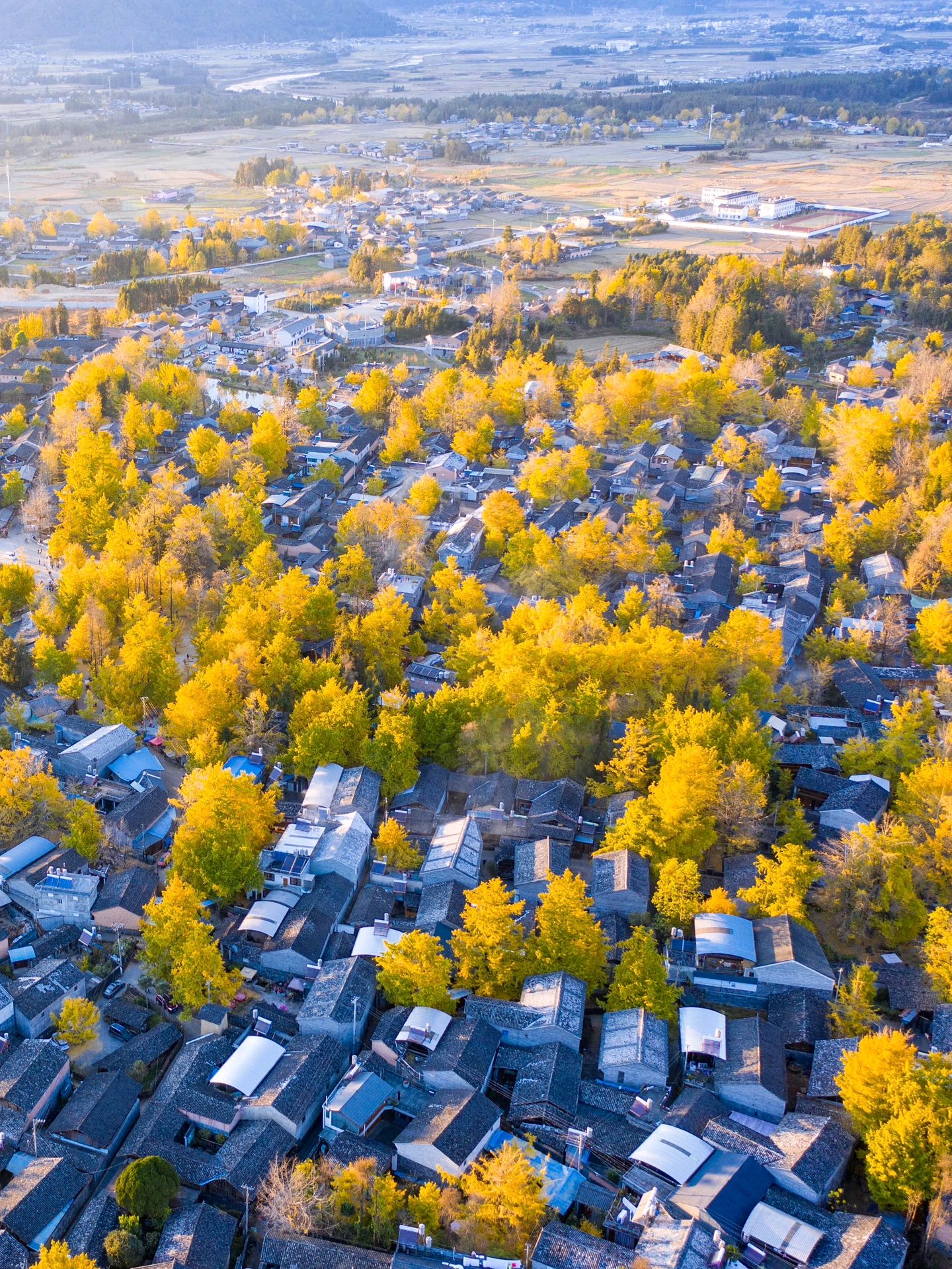 银杏村位于云南省保山市腾冲县固东镇,是一个有着几百年历史的古村落.
