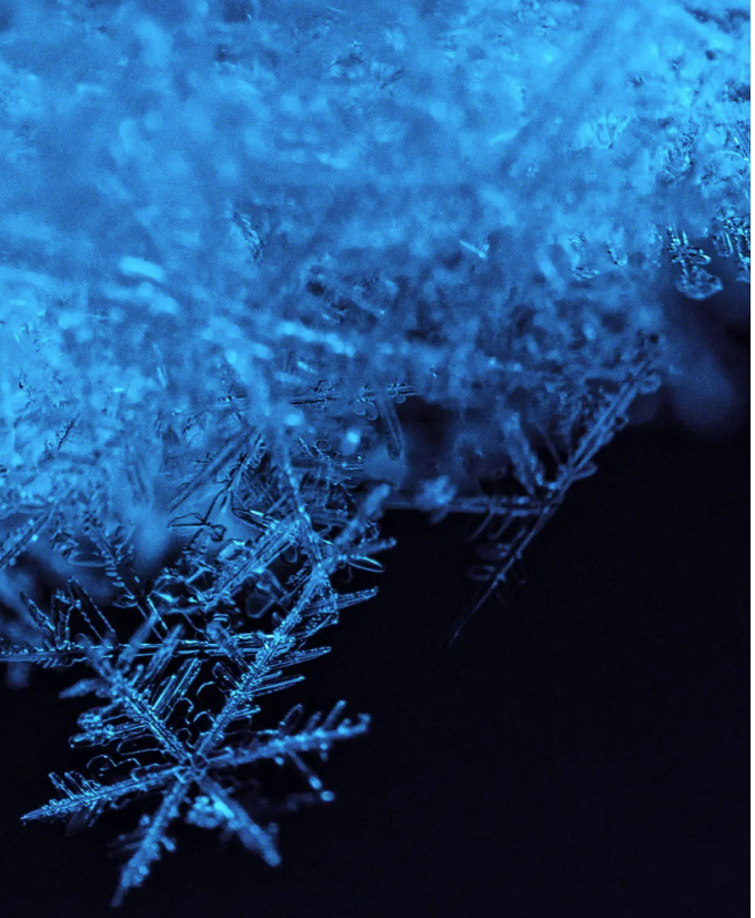 下雪了,我数着每片雪花的瓣数,晶莹剔透,慢慢融化在我的掌心!