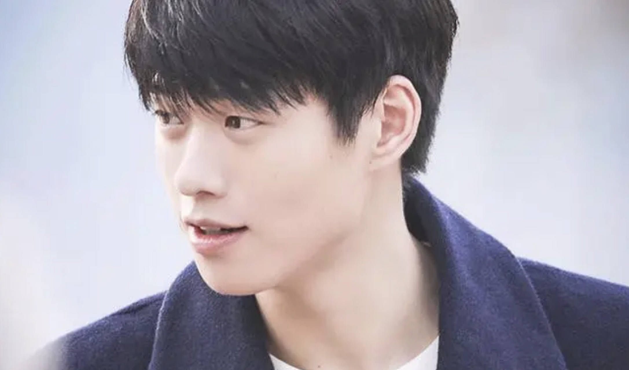 魏大勋在2014年签约jyp公司,成为第一个签约的中国明星,但专注于拍戏