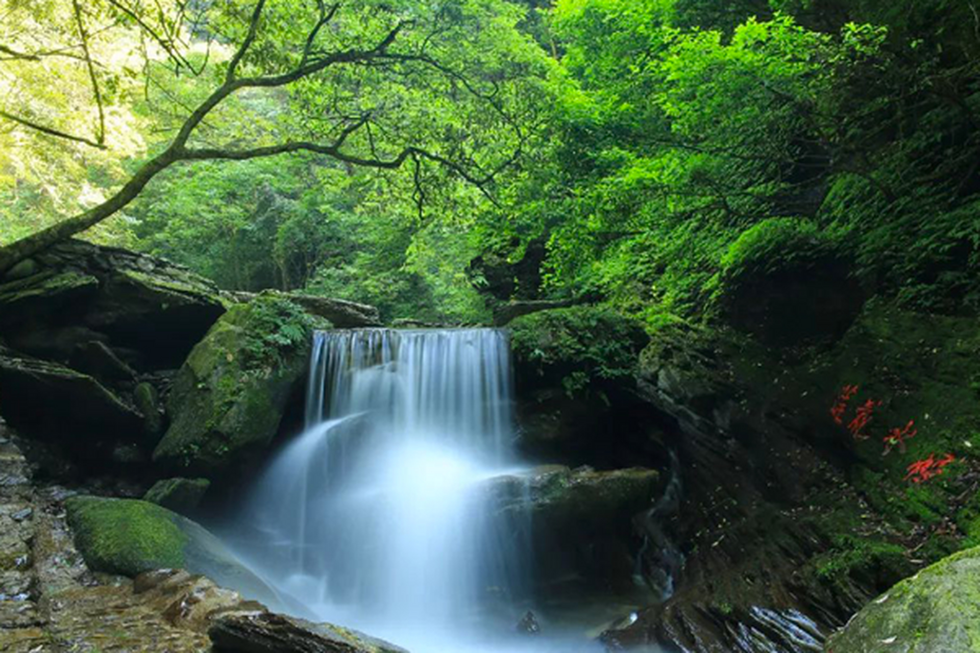 我的年度旅行记# 亚木沟,位于贵州省铜仁市江口县,是一个充满神秘