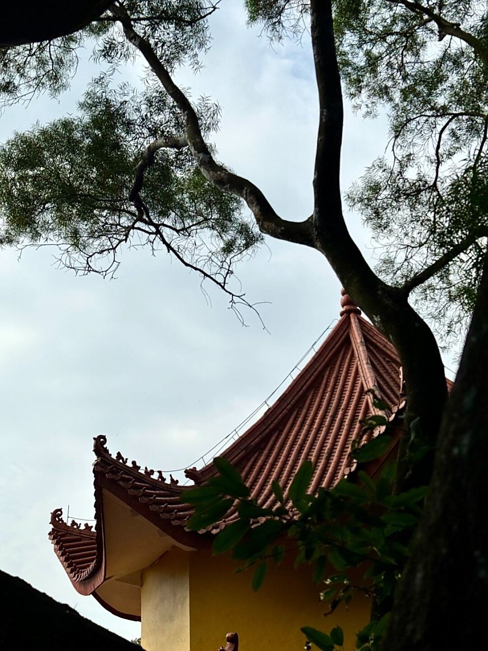 在漳州| 山寺清幽,来者心诚  99瑞竹岩,位于漳州龙海市蓝田梧浦村东