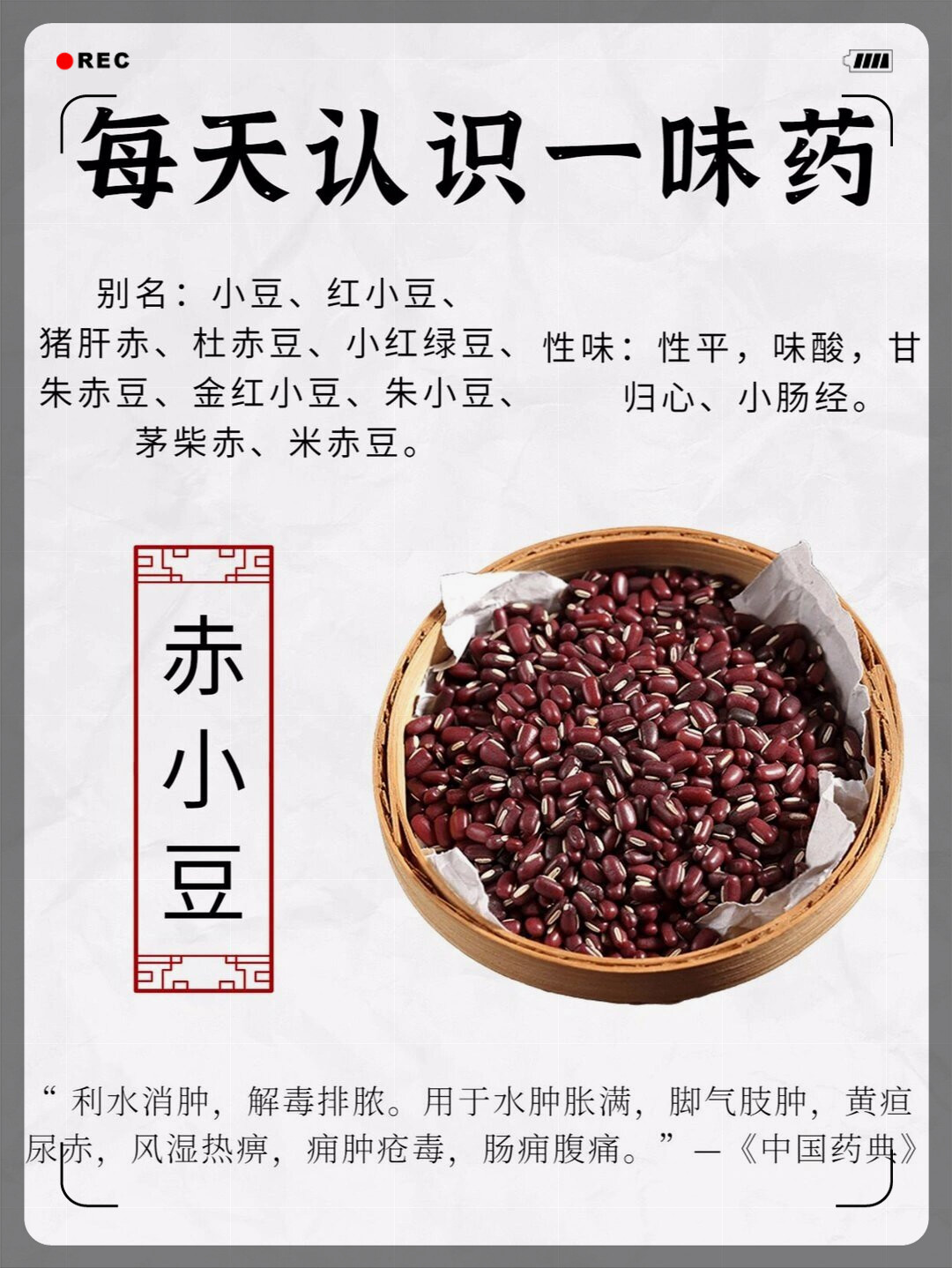 红豆与赤小豆的区别?
