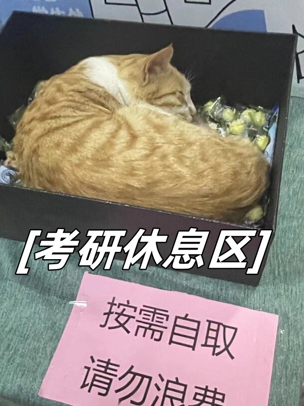 自习室的零食盒里有一只黄色巨大毛毛虫橘猫时,确实会感到有些困扰和