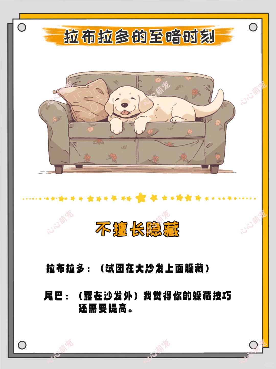 拉布拉多的六个至暗时刻	 拉拉狗狗眼巴巴地望着我仿佛在说没有