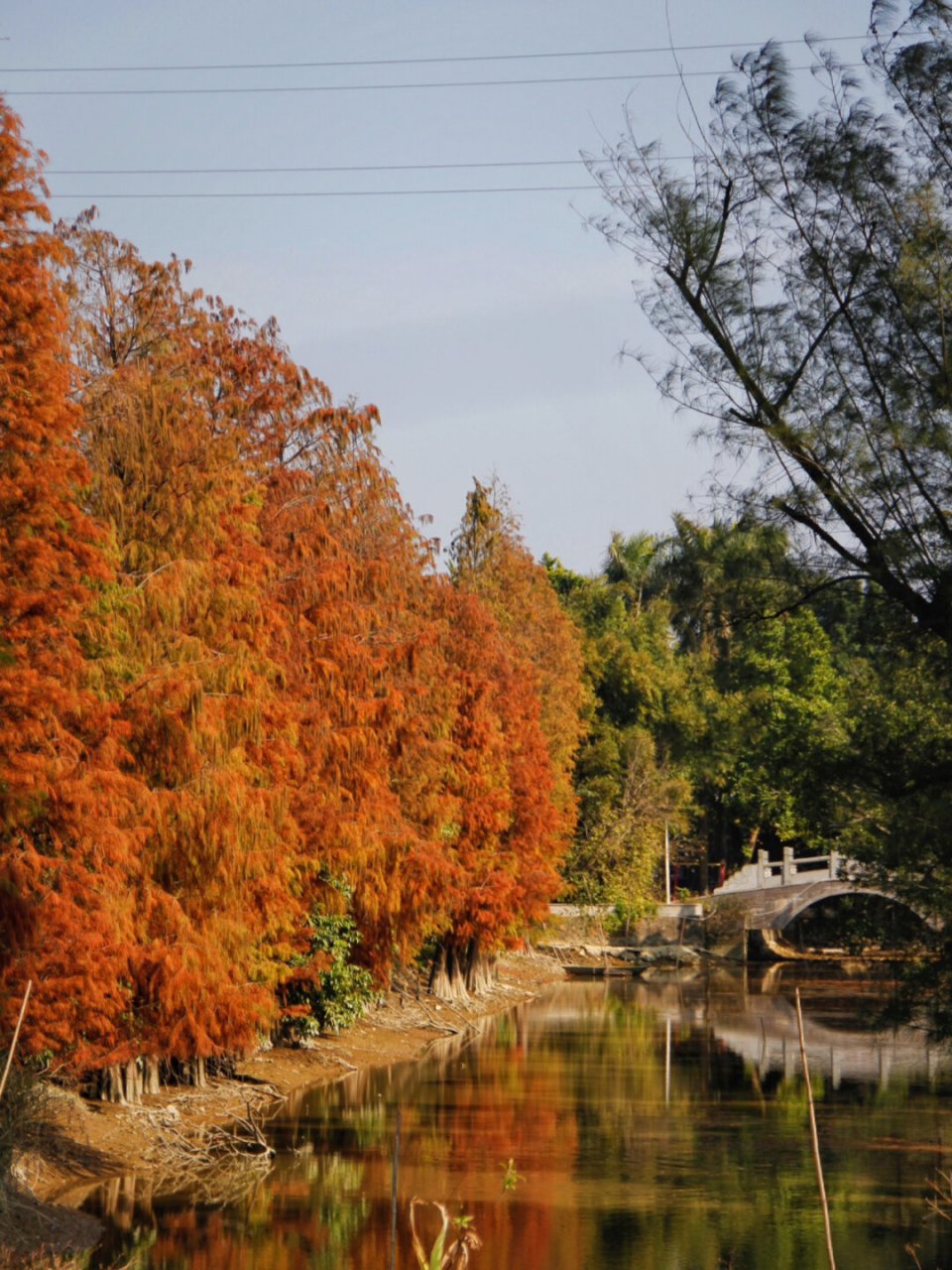 斗门上洲村旅游景点图片