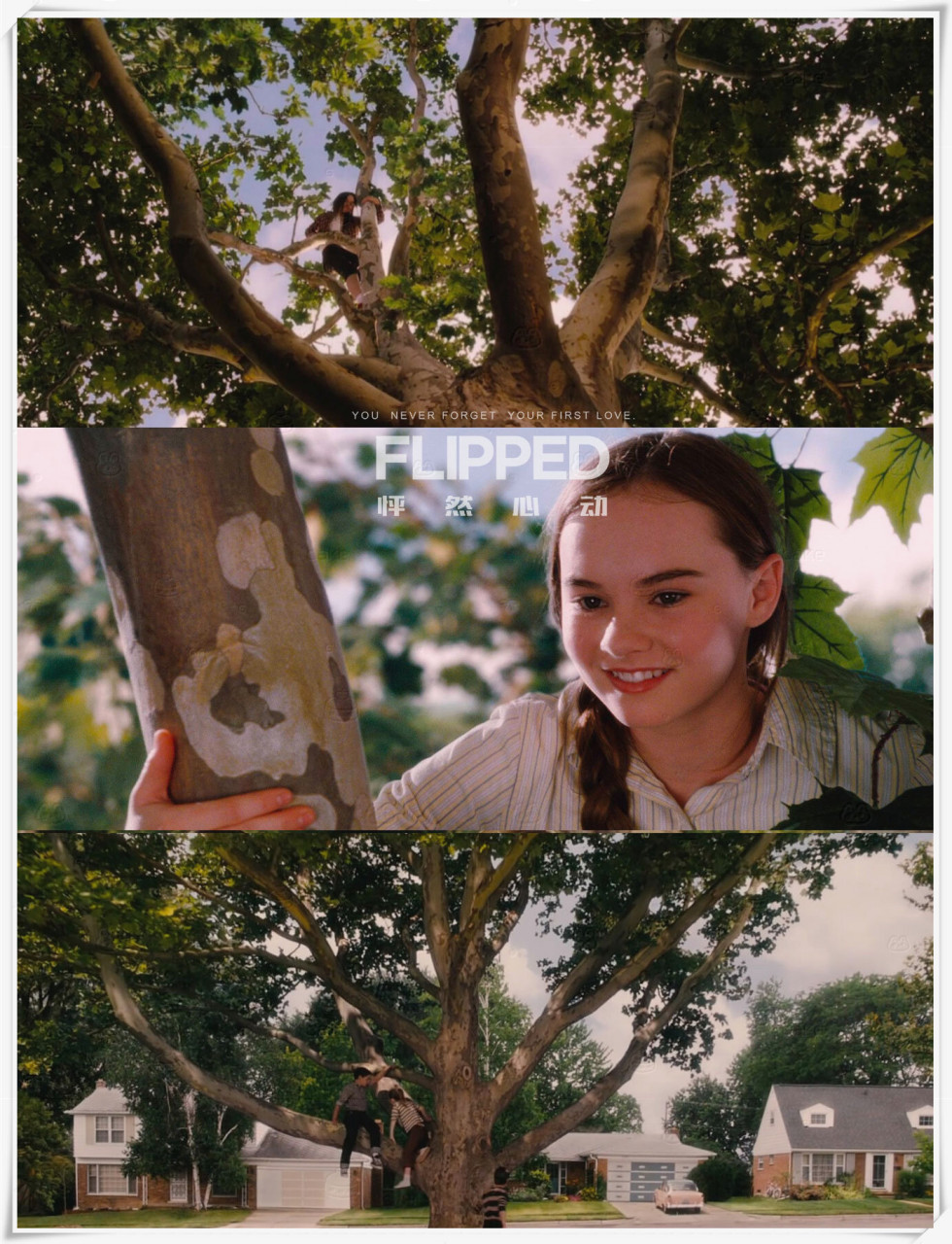 《怦然心动》是一部每年都能看一遍的电影