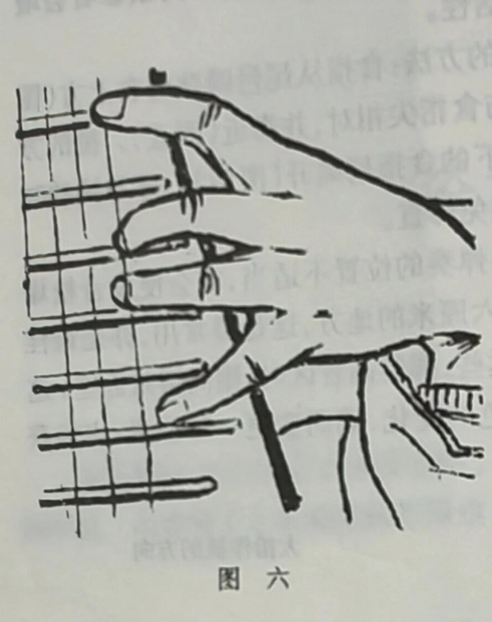 下面就给大家分享一些按弦的注意事项,帮助你轻松掌握琵琶的入门技巧!