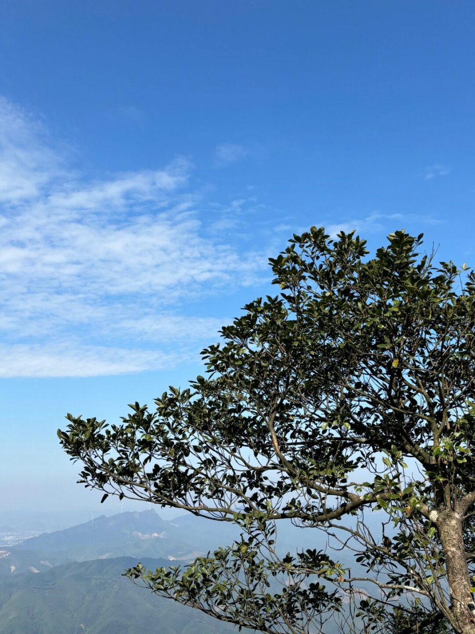 广西贵港森林是真的治愈  贵港平天山,一个神秘而美丽的地方,位于广西
