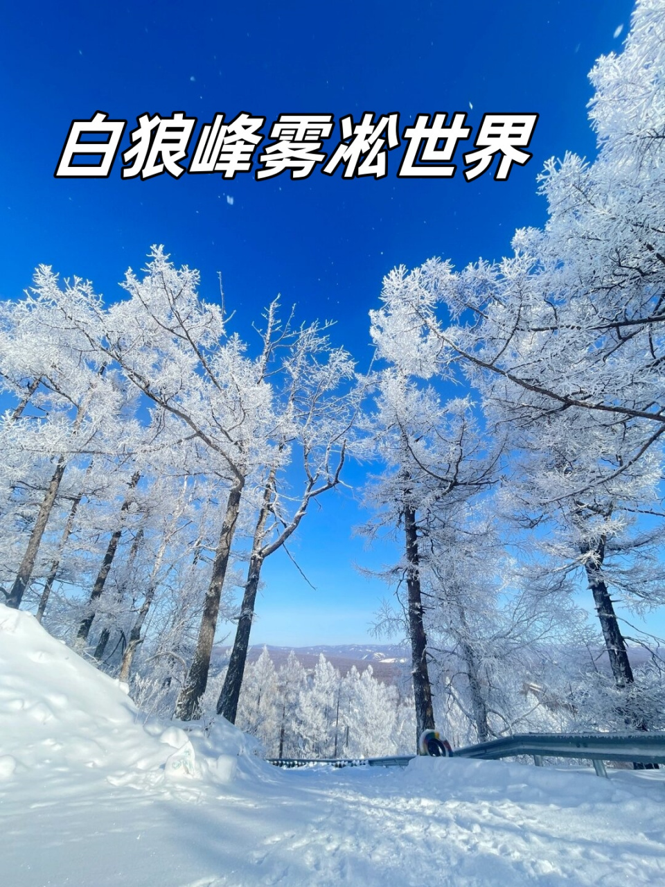 在阿尔山白狼峰,那一片迷人的百里雾凇长廊,仿佛是大自然为我们呈现的