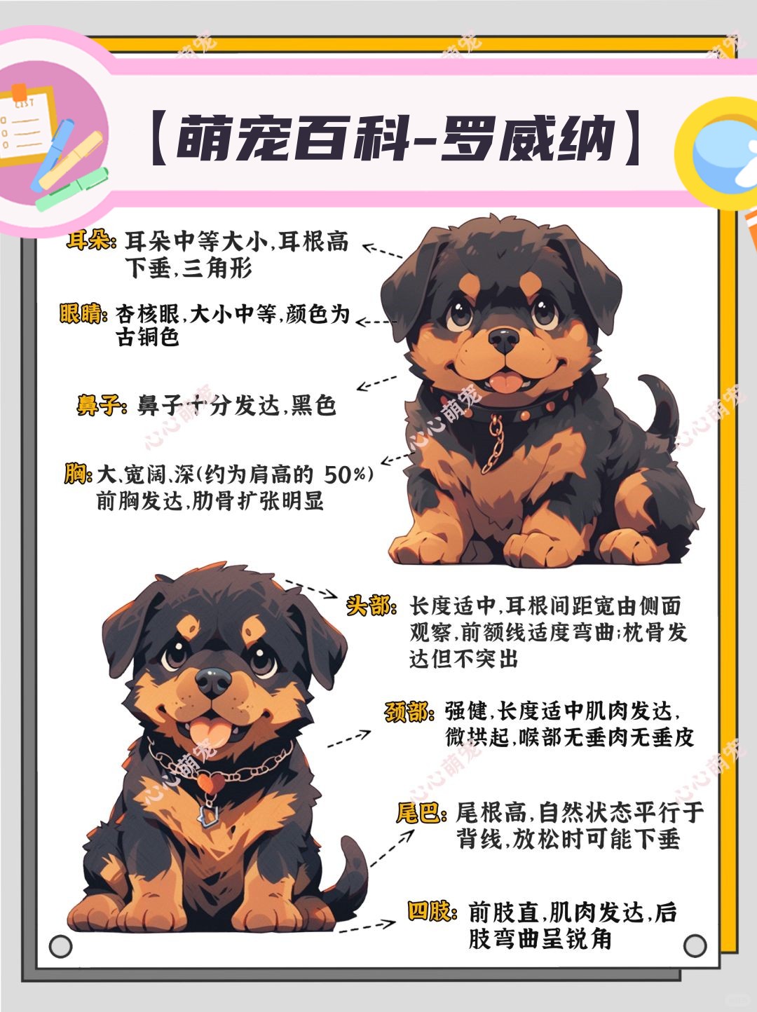 罗威纳价格一览表