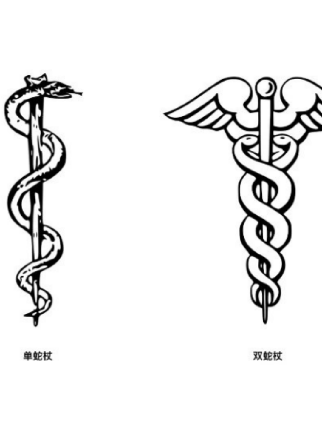 文化小常识 医学蛇杖