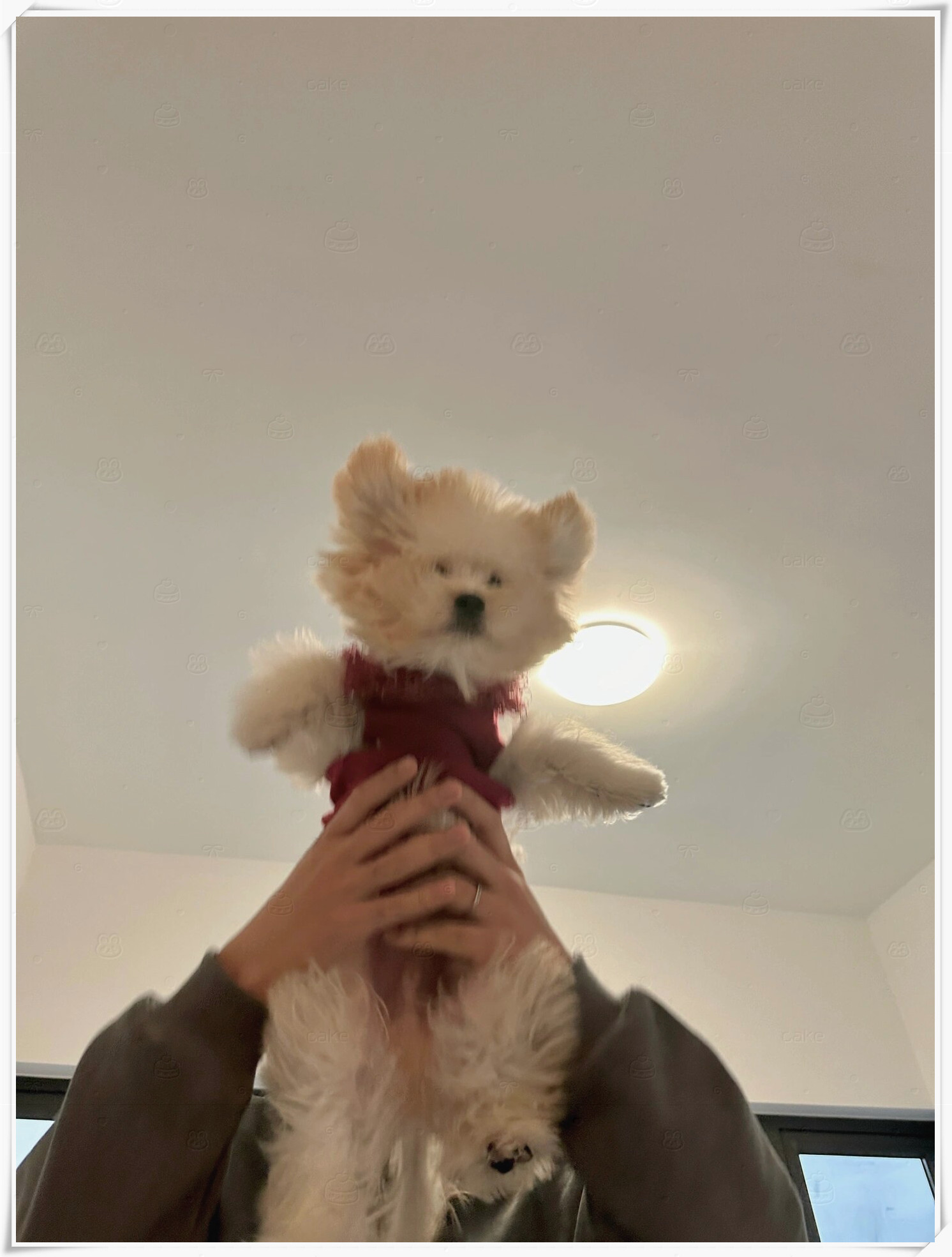 噗噗:看我飞起来了!hhhhhhhhh  #我要上热门